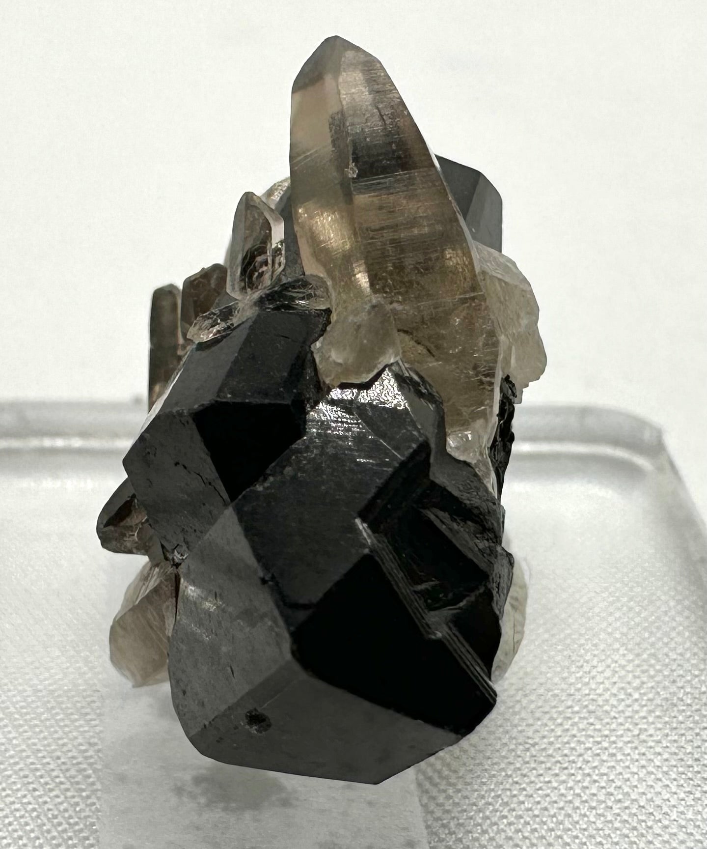 Schorl - Erongo, Namibia - SK012