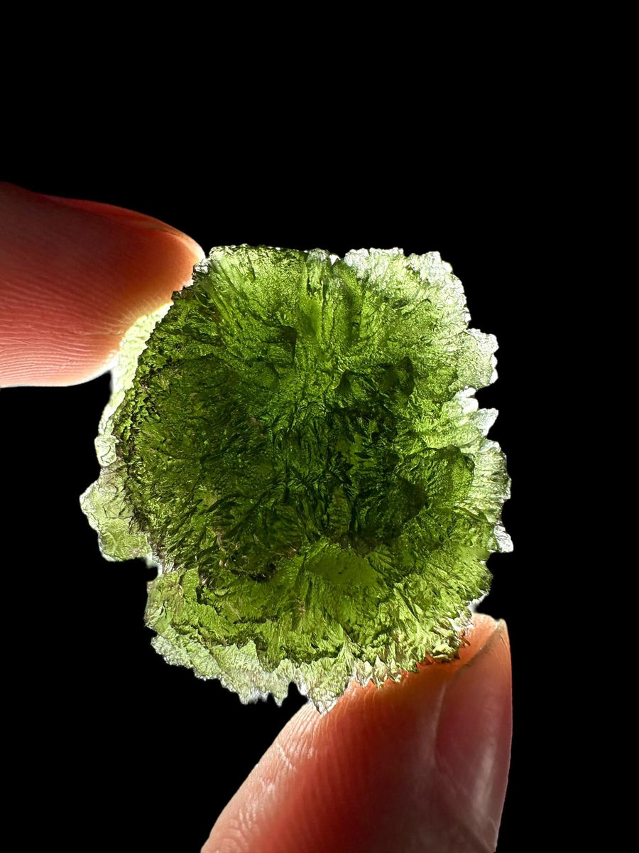 Moldavite – Krasejovka – 21,8g - V2016 retroilluminata
