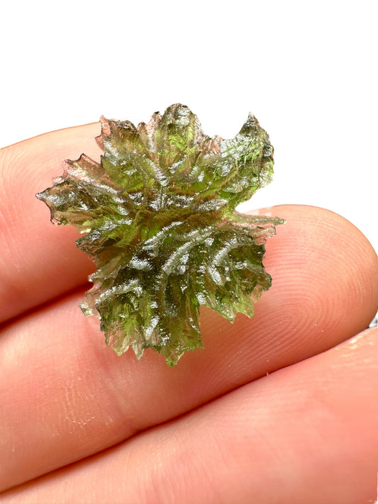 Moldavite – Besednice Jezkovna – 2g – BJ081