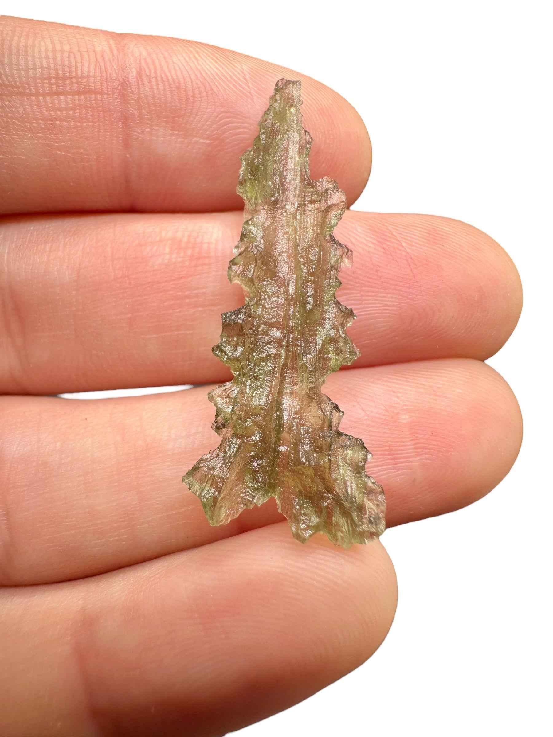 Moldavite – Besednice Jezkovna – 0,9g - BJ105