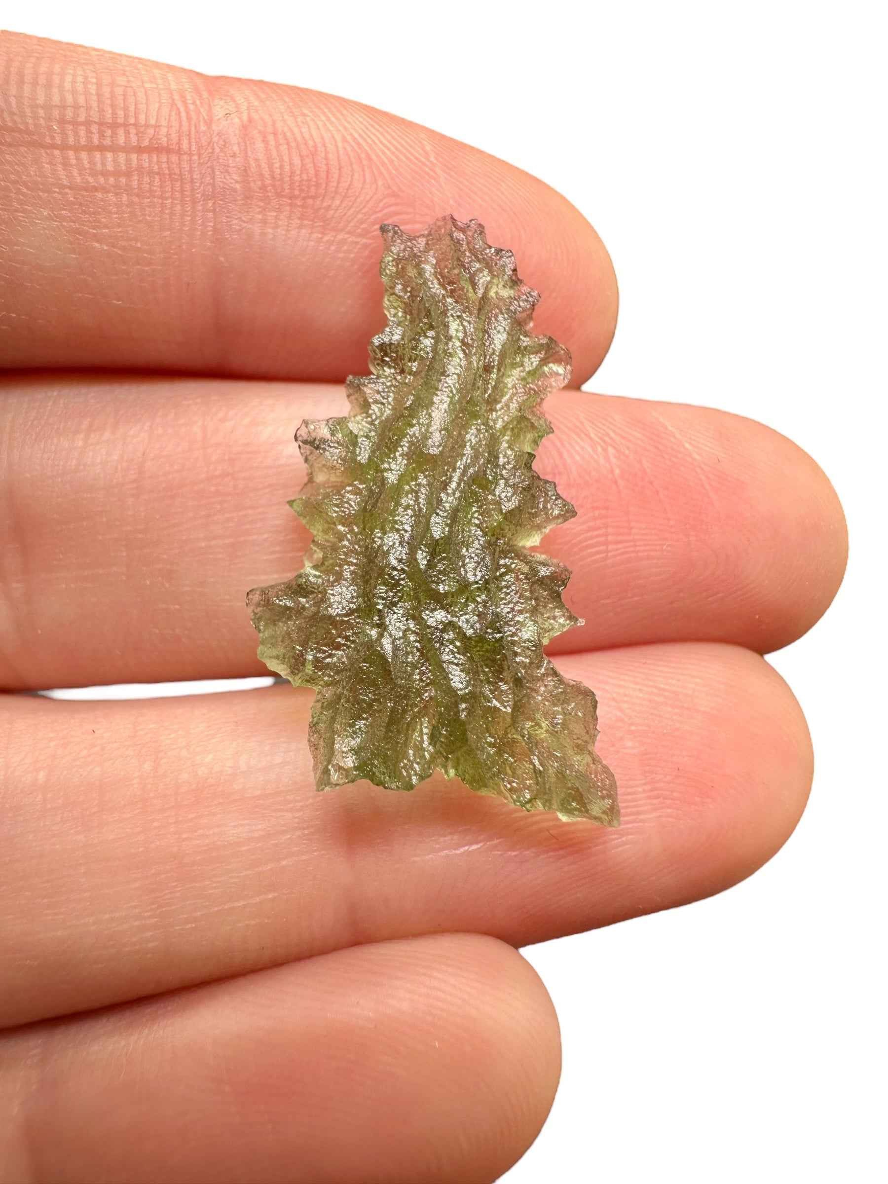 Moldavite – Besednice Jezkovna – 1,5g - BJ244