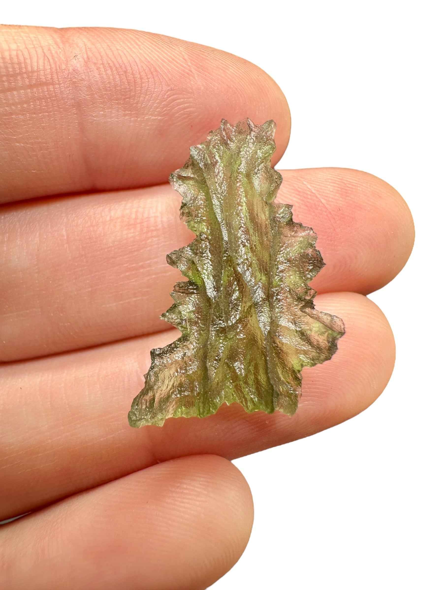 Moldavite – Besednice Jezkovna – 1,5g - BJ244