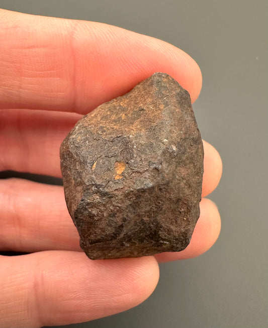 Meteorite Canyon Diablo – Arizona, USA – MECD18