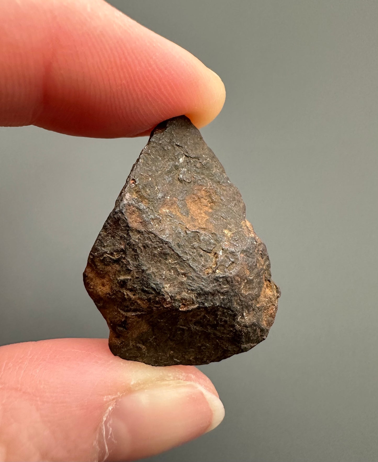Meteorite Canyon Diablo – Arizona, USA – MECD21