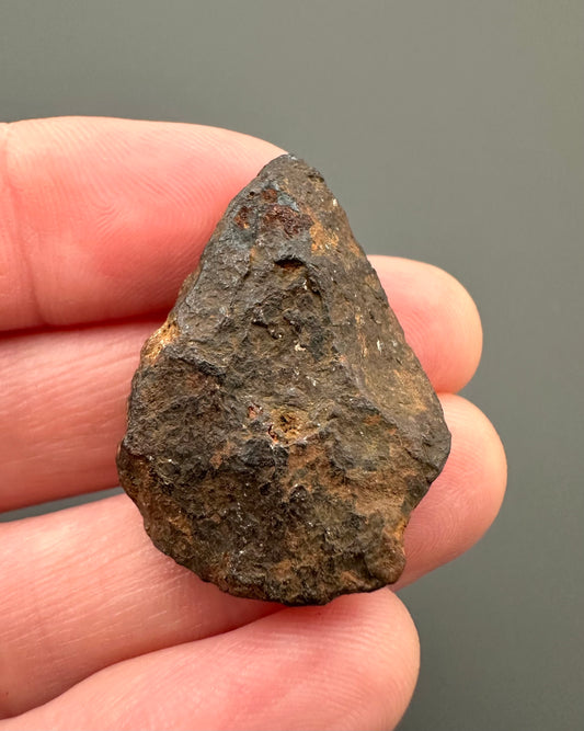 Meteorite Canyon Diablo – Arizona, USA – MECD21