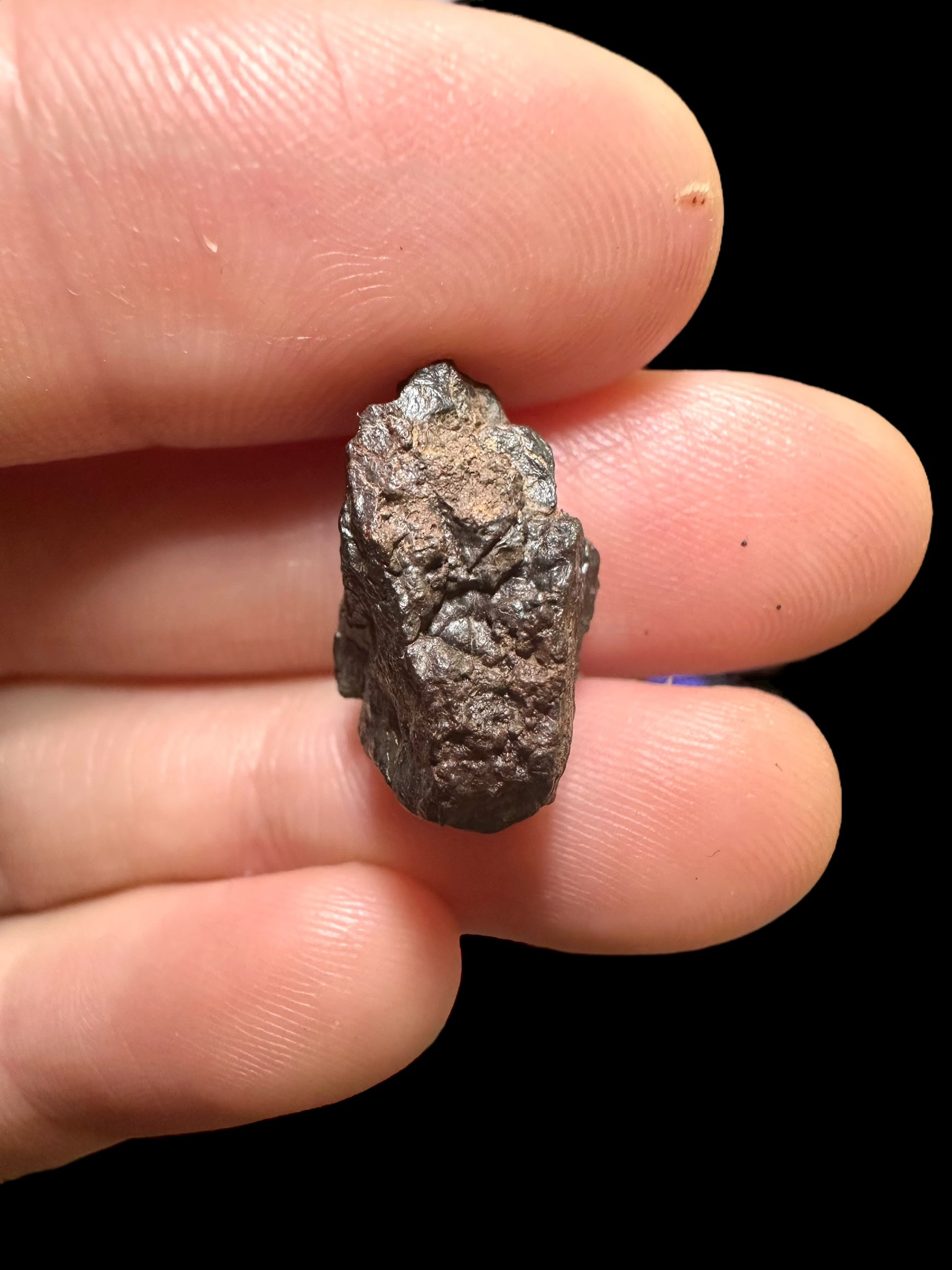 Meteorite Canyon Diablo 3,3g – Arizona, USA - MECD23