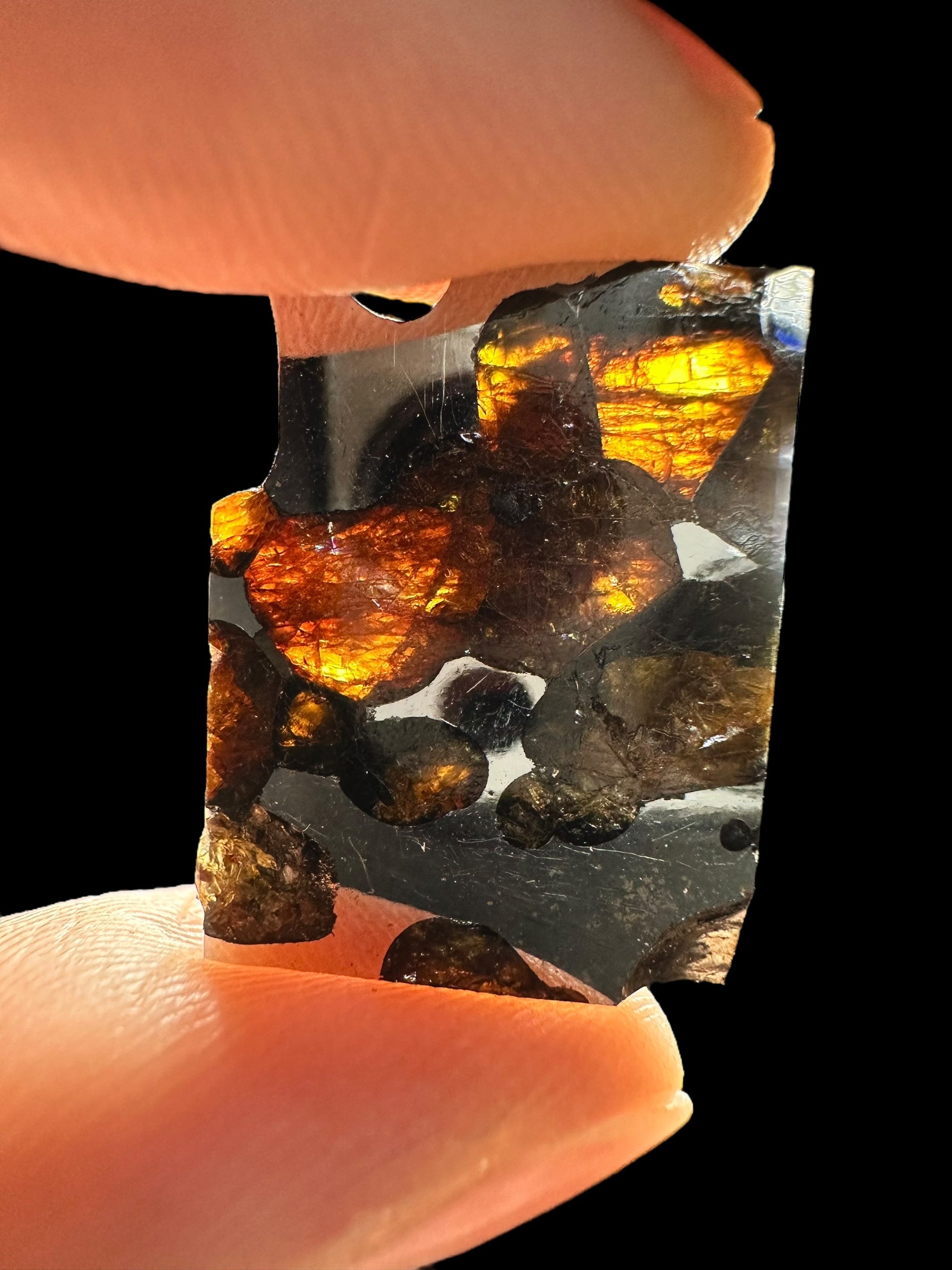Meteorite Borzya 4,5g – Russia - MEBO02