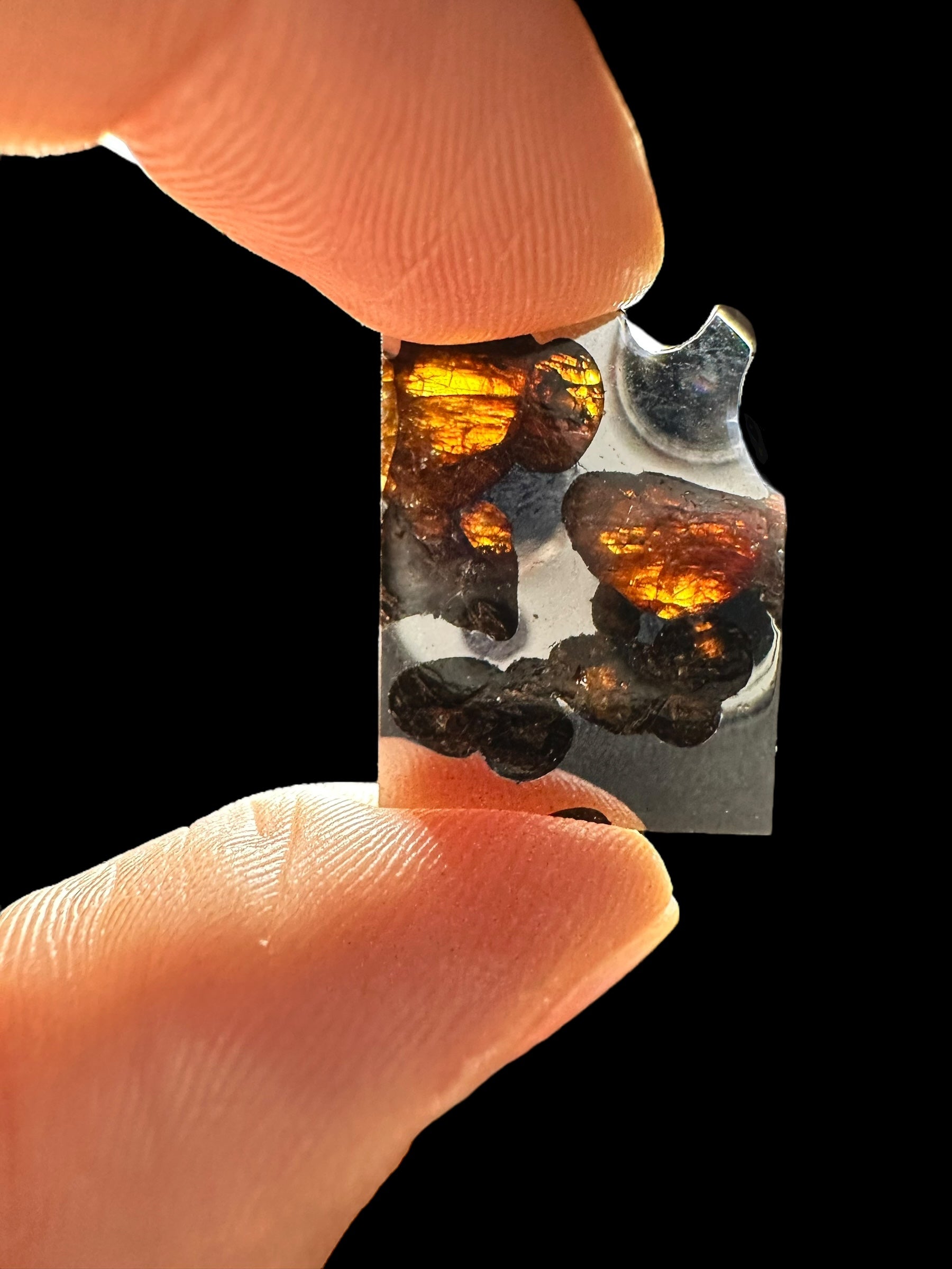 Meteorite Borzya 4,5g – Russia - MEBO02