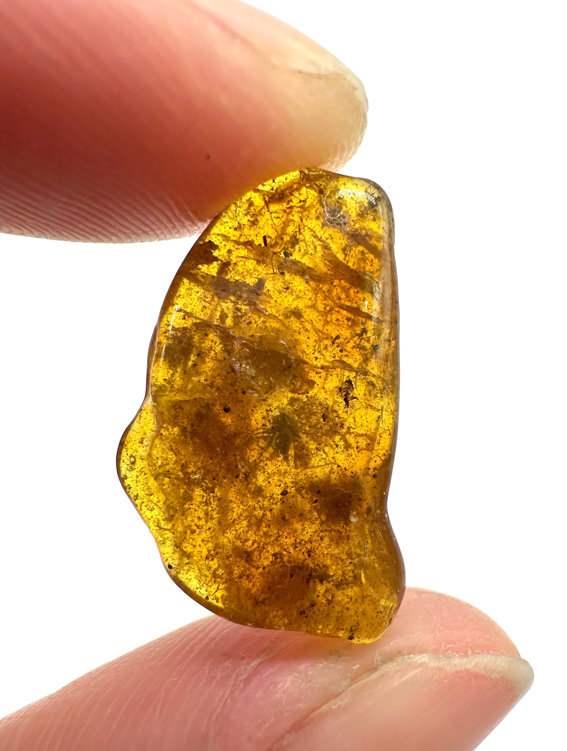 Insects in amber – Lithuania – 0,5g - IJ028