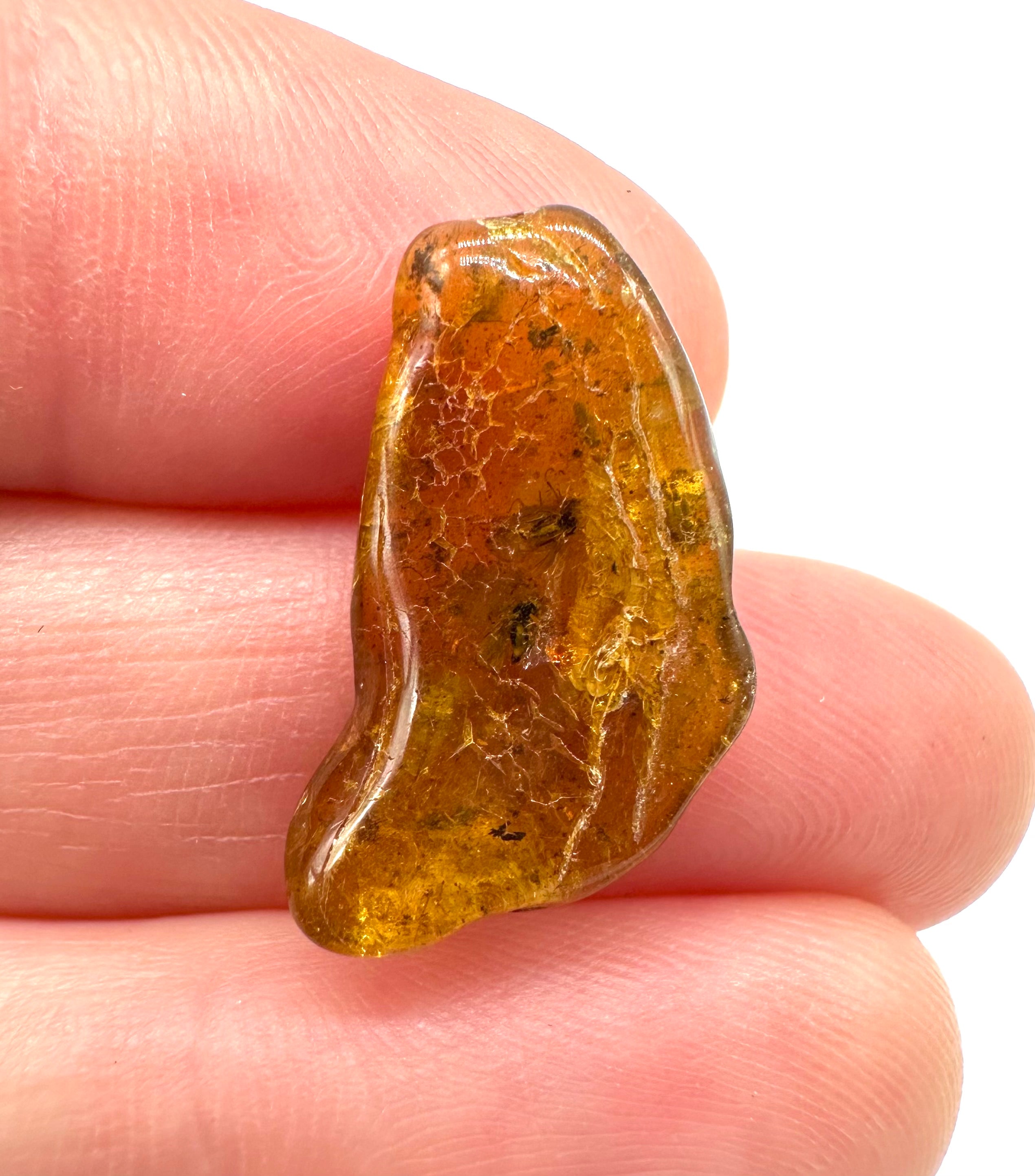 Insects in amber – Lithuania – 0,5g - IJ028