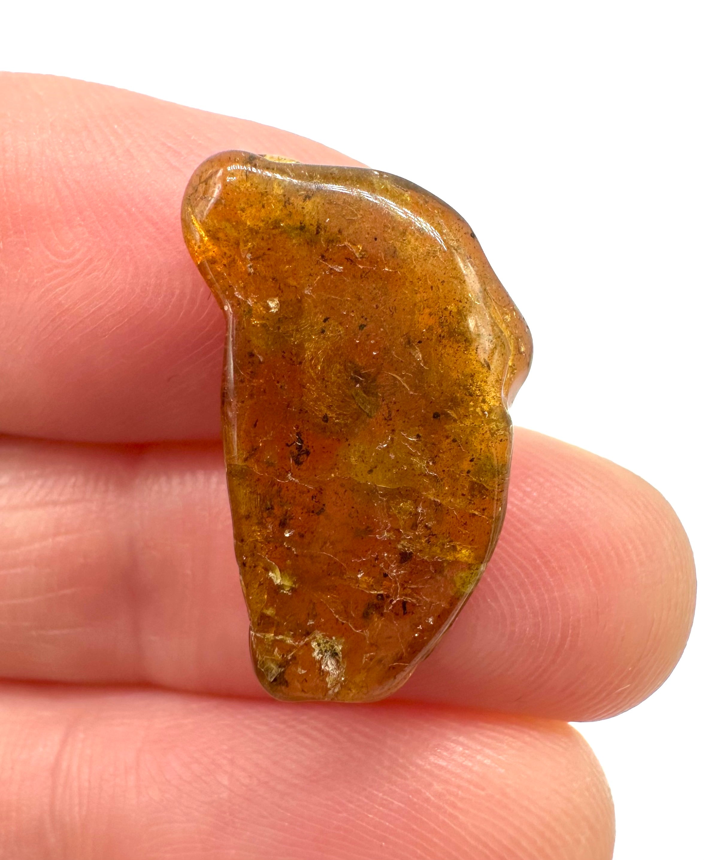 Insects in amber – Lithuania – 0,5g - IJ028