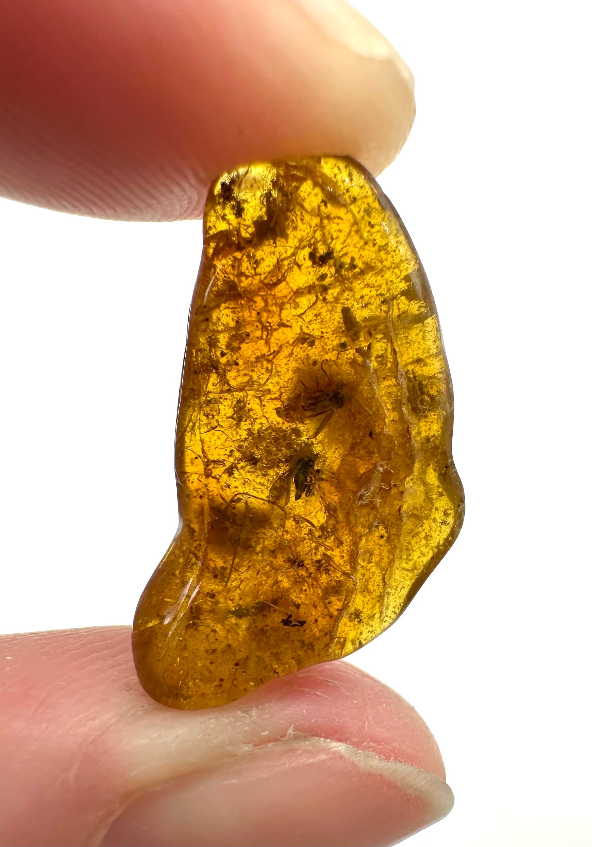 Insects in amber – Lithuania – 0,5g
