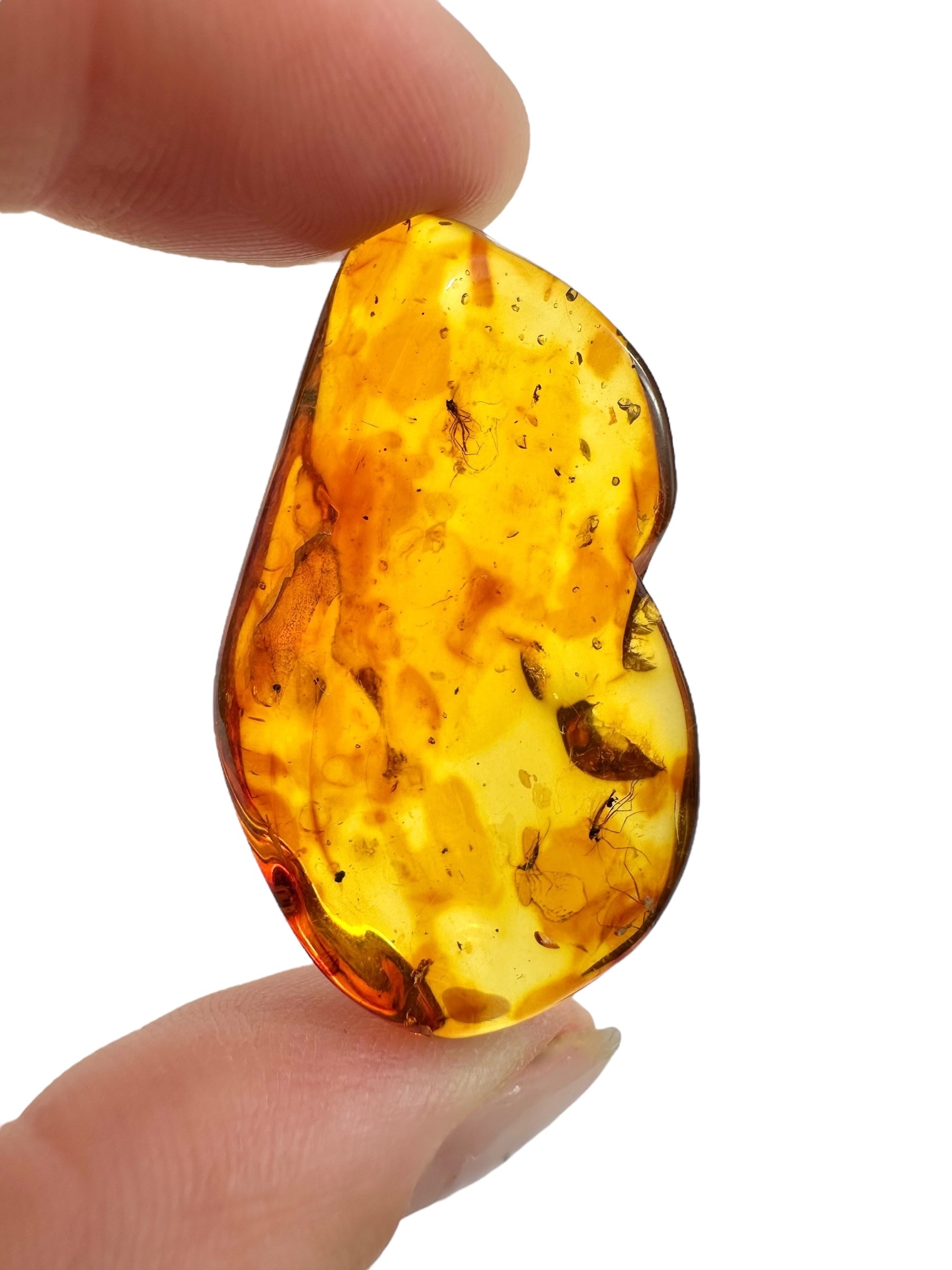 Insects in amber – Lithuania – 3,8g - IJ032