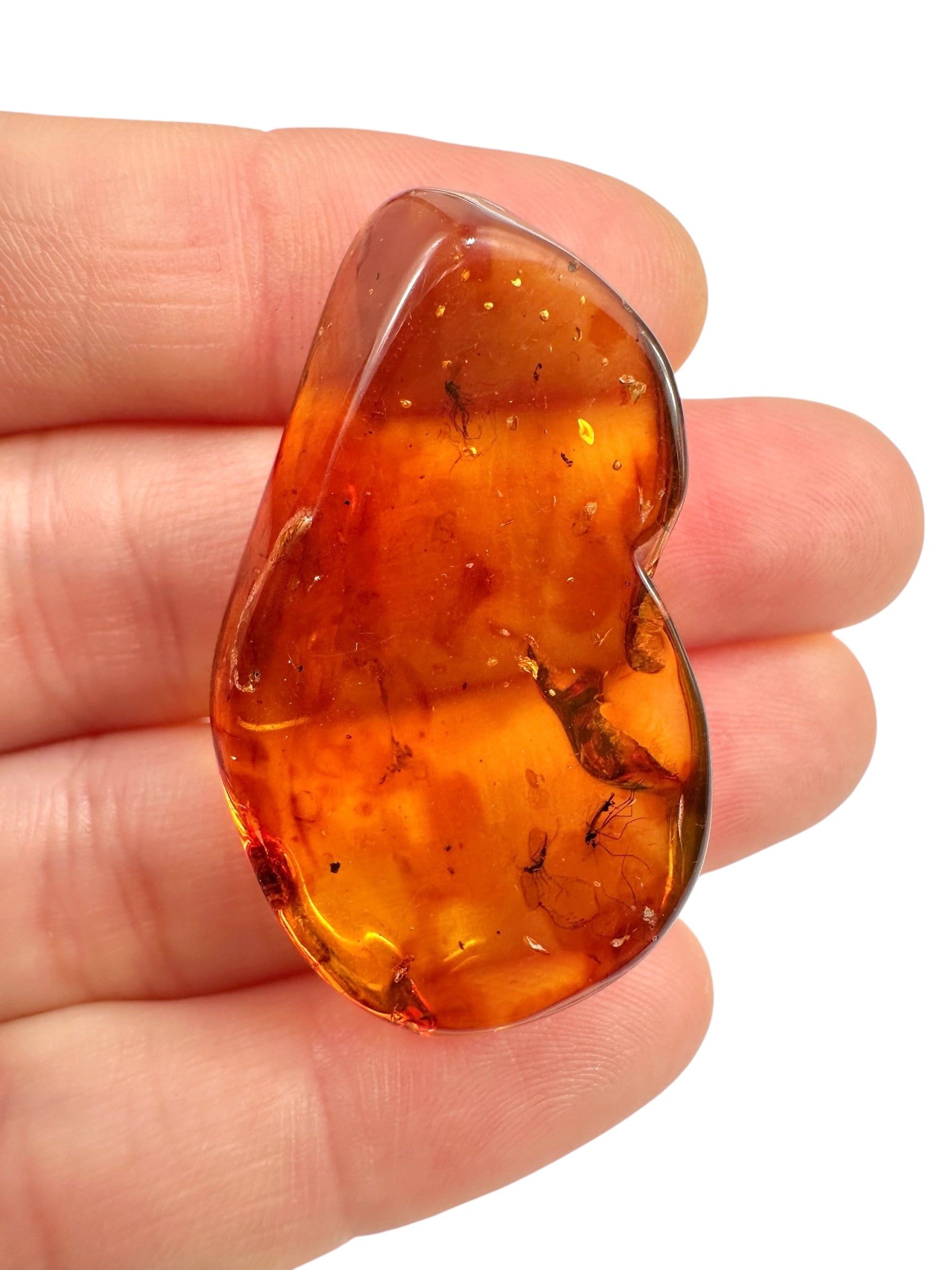 Insects in amber – Lithuania – 3,8g - IJ032