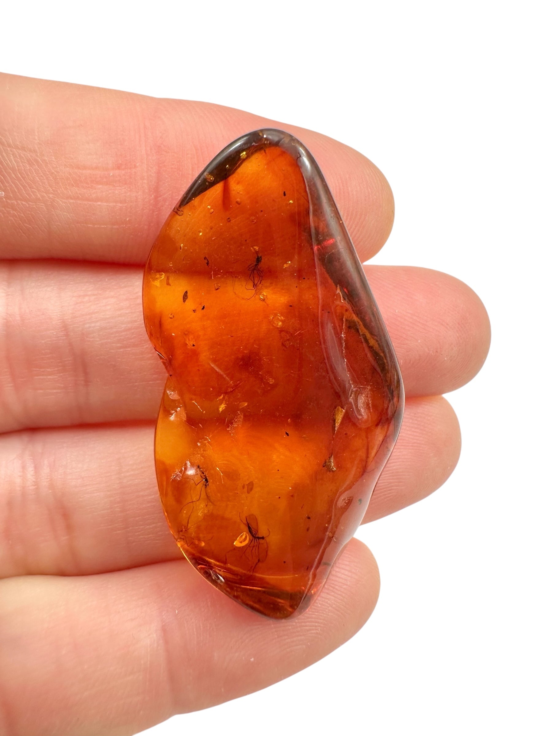 Insects in amber – Lithuania – 3,8g - IJ032