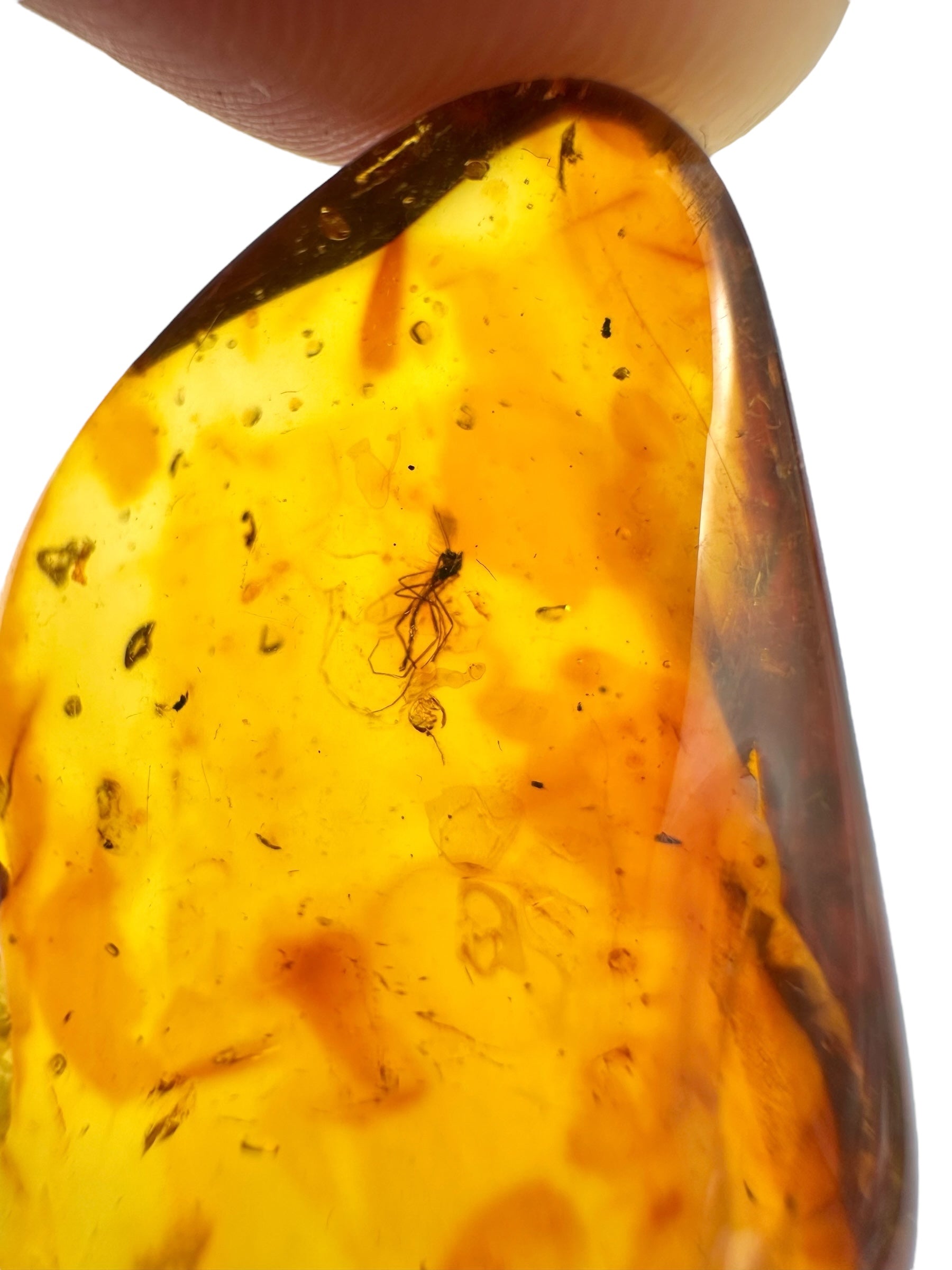 Insects in amber – Lithuania – 3,8g - IJ032