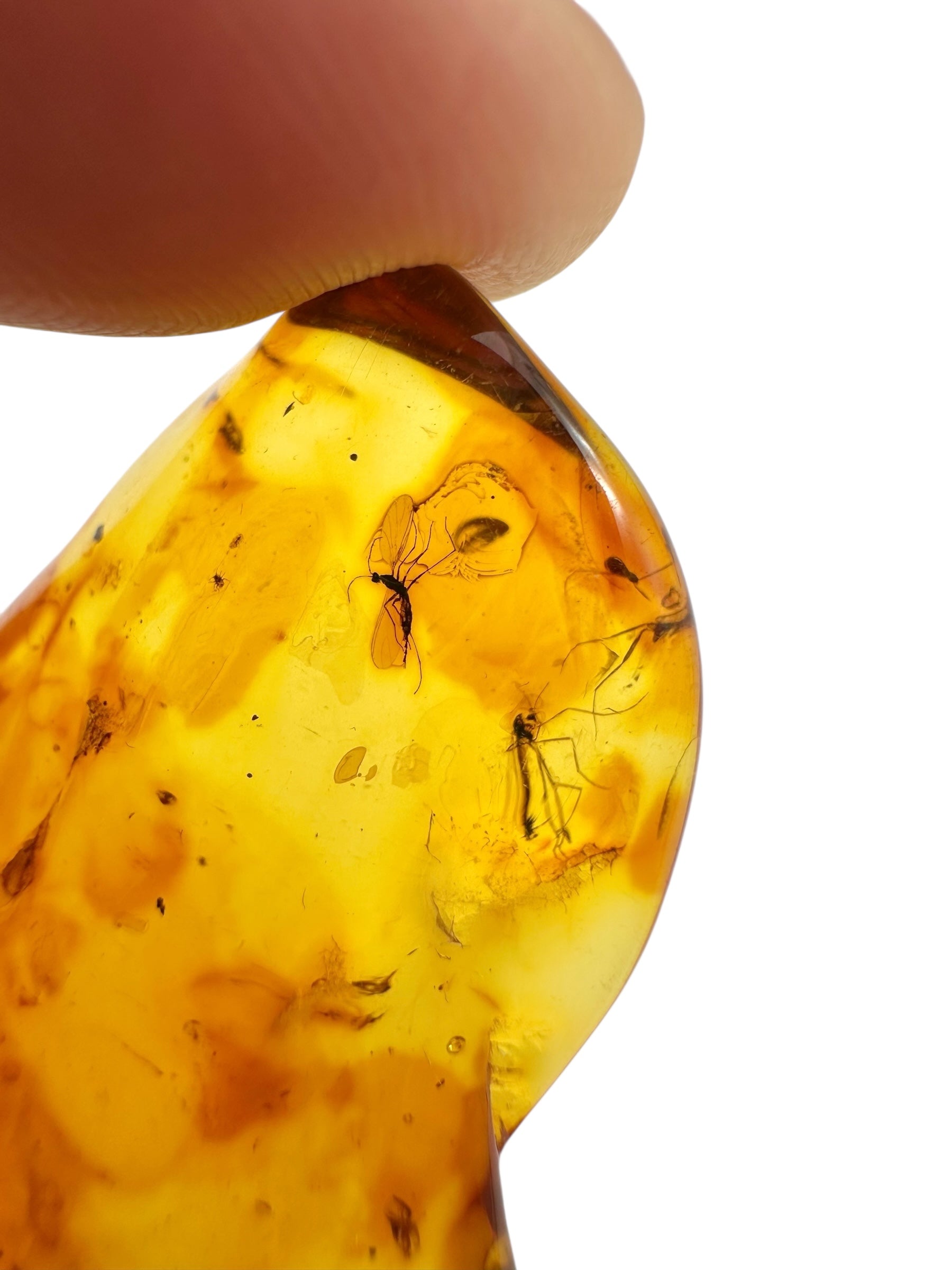 Insects in amber – Lithuania – 3,8g - IJ032