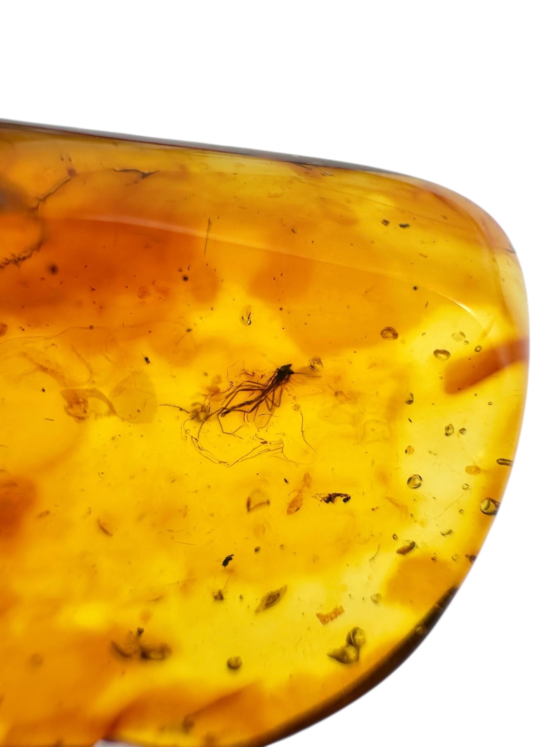 Insects in amber – Lithuania – 3,8g - IJ032
