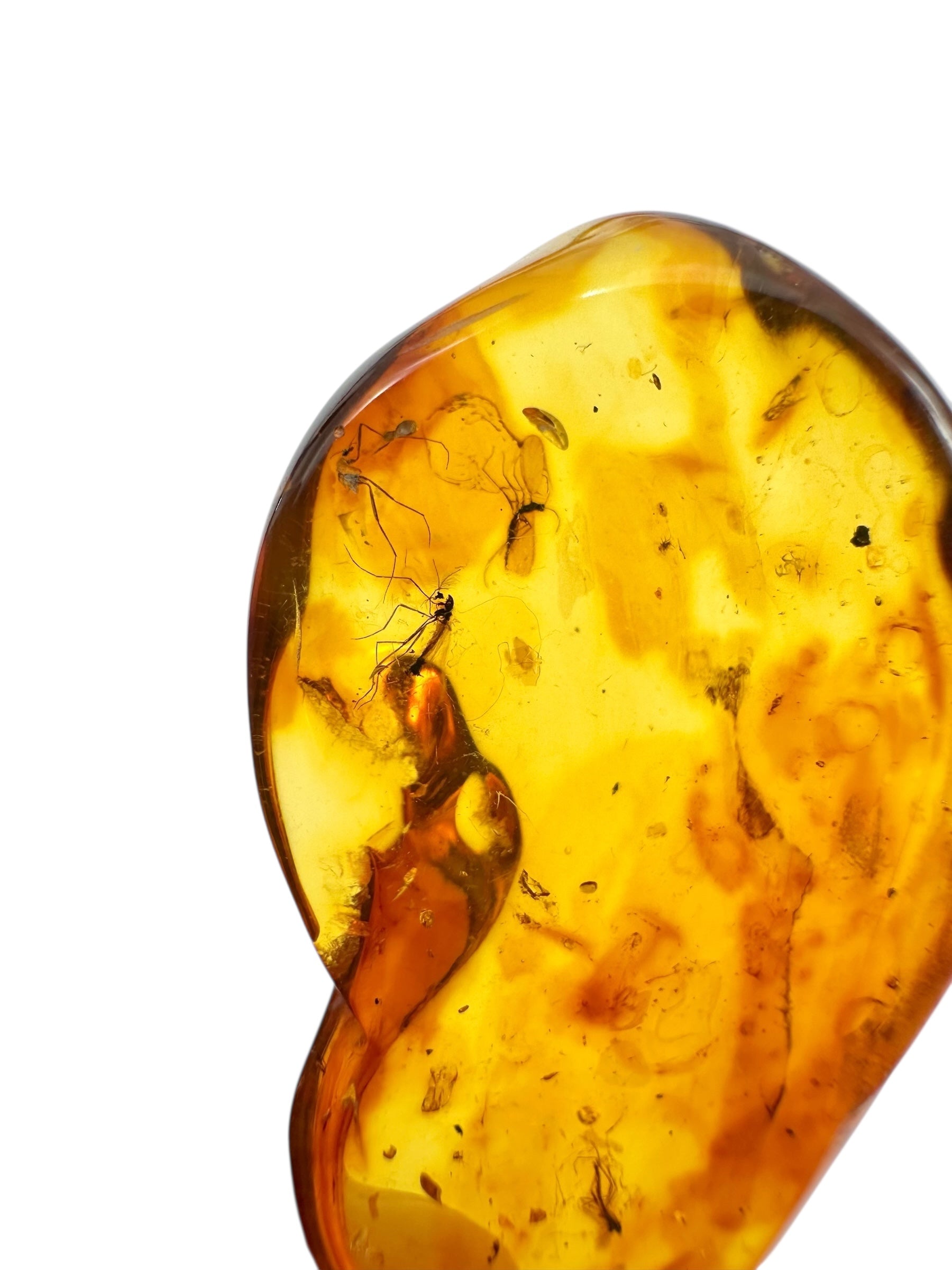 Insects in amber – Lithuania – 3,8g - IJ032