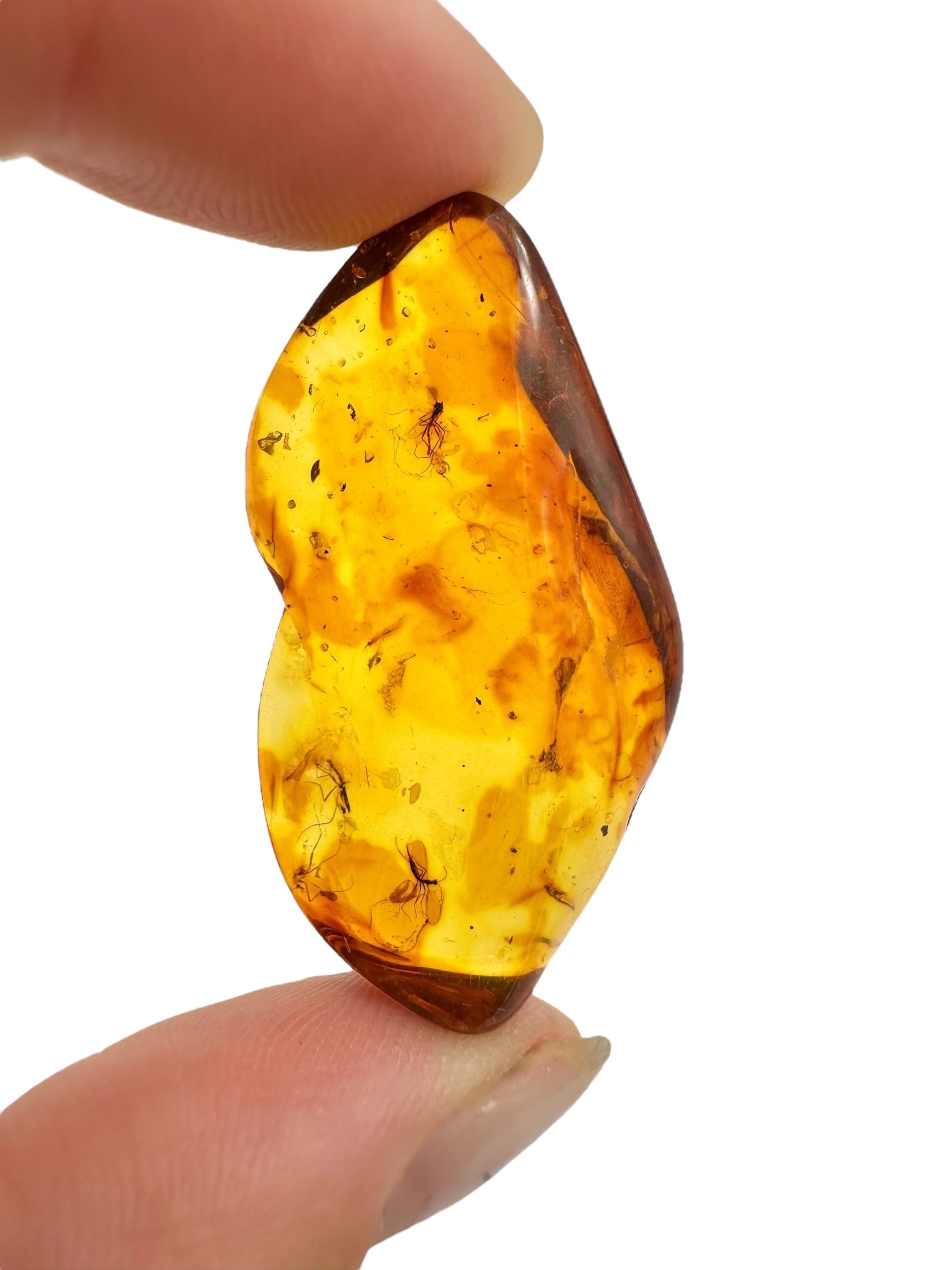 Insects in amber – Lithuania – 3,8g