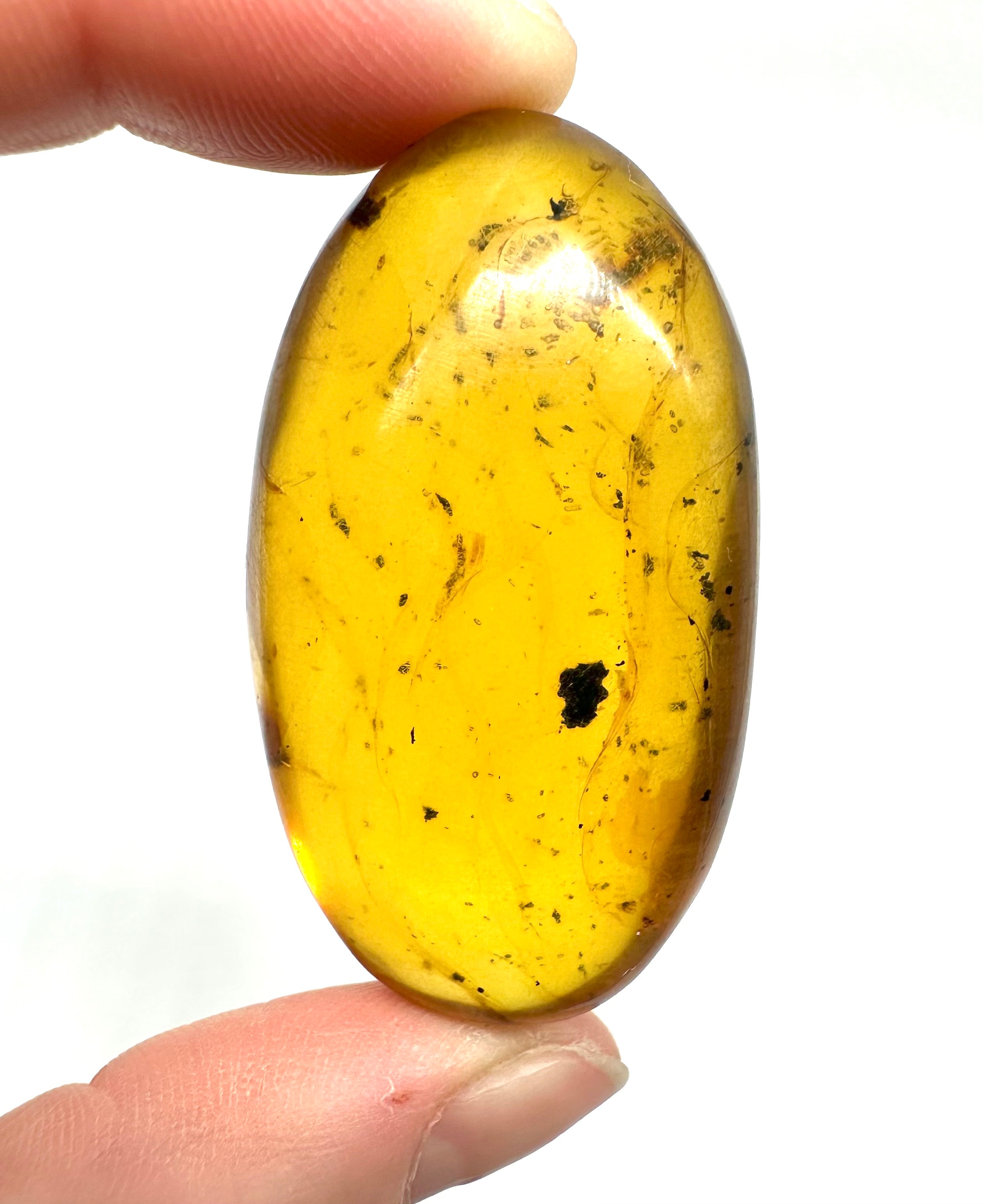 Insect in amber – Hukawng, Myanmar – 15g - IJ033