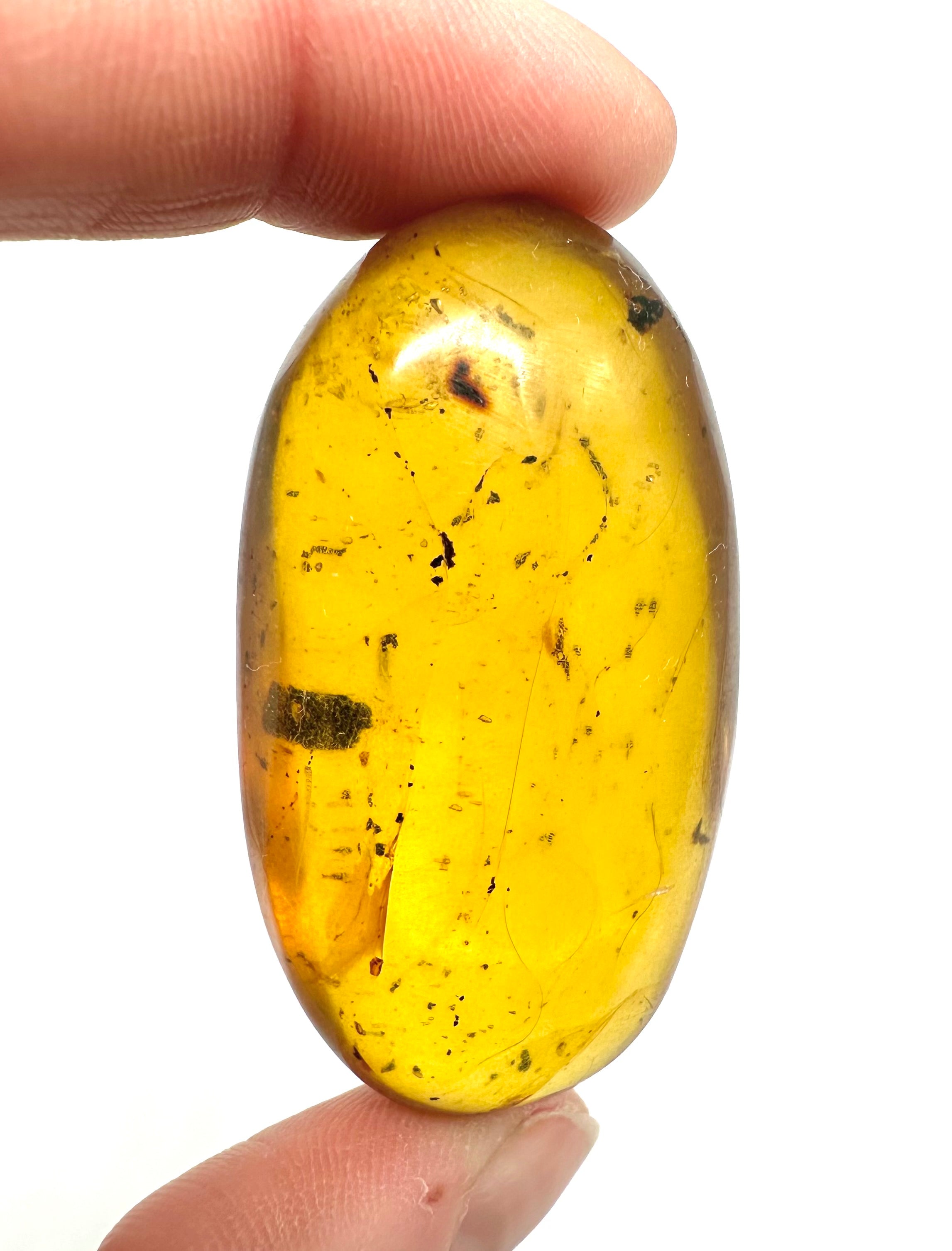 Insect in amber – Hukawng, Myanmar – 15g