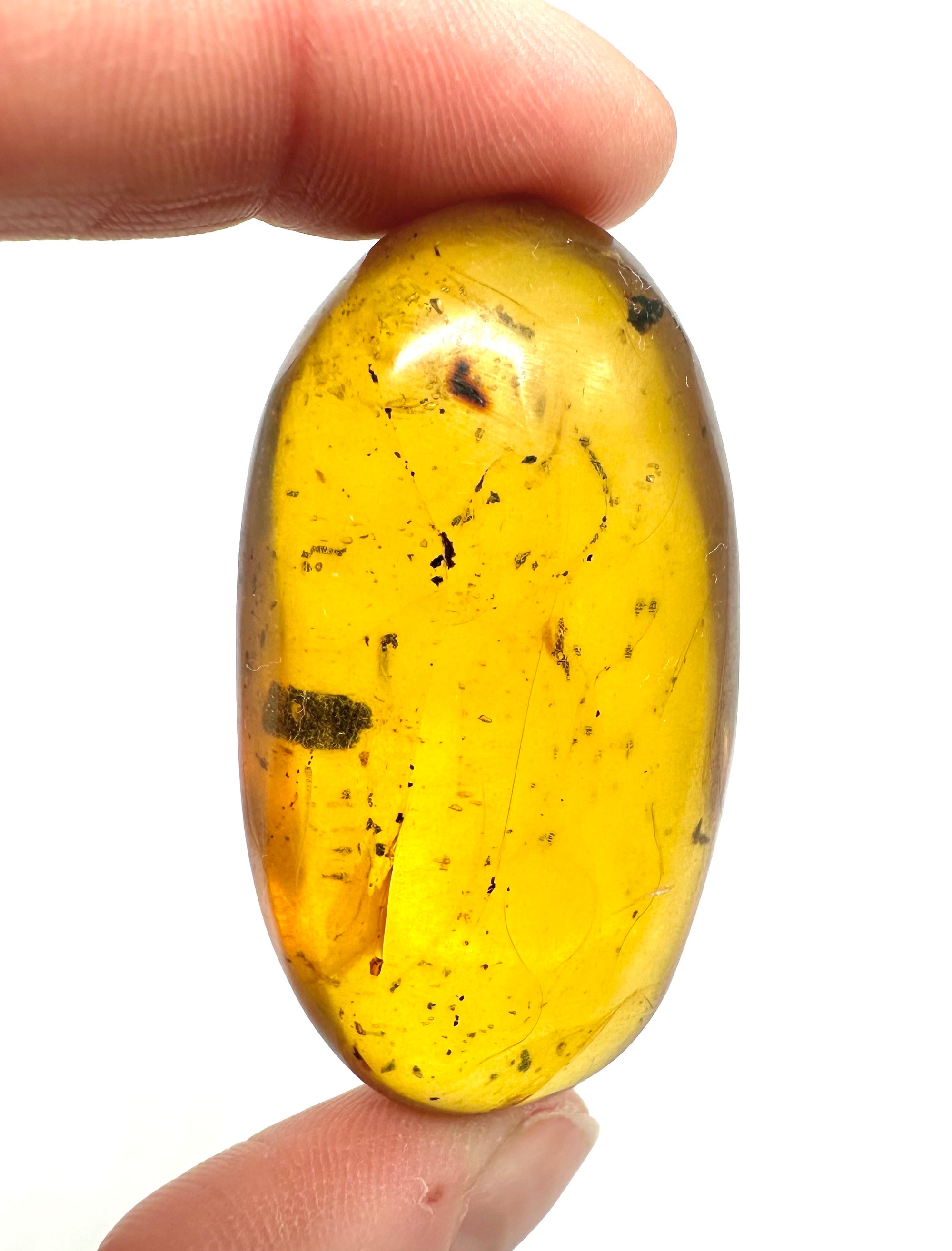 Insect in amber – Hukawng, Myanmar – 15g