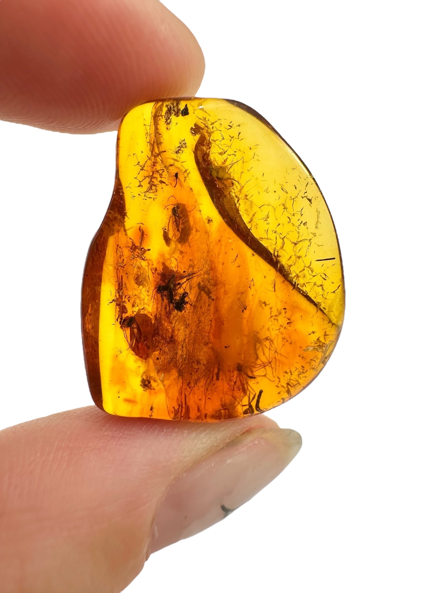 Insects in amber – Lithuania – 2,2g - IJ034