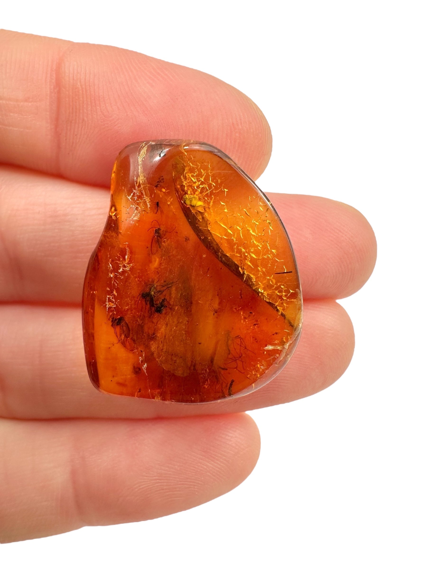 Insects in amber – Lithuania – 2,2g - IJ034