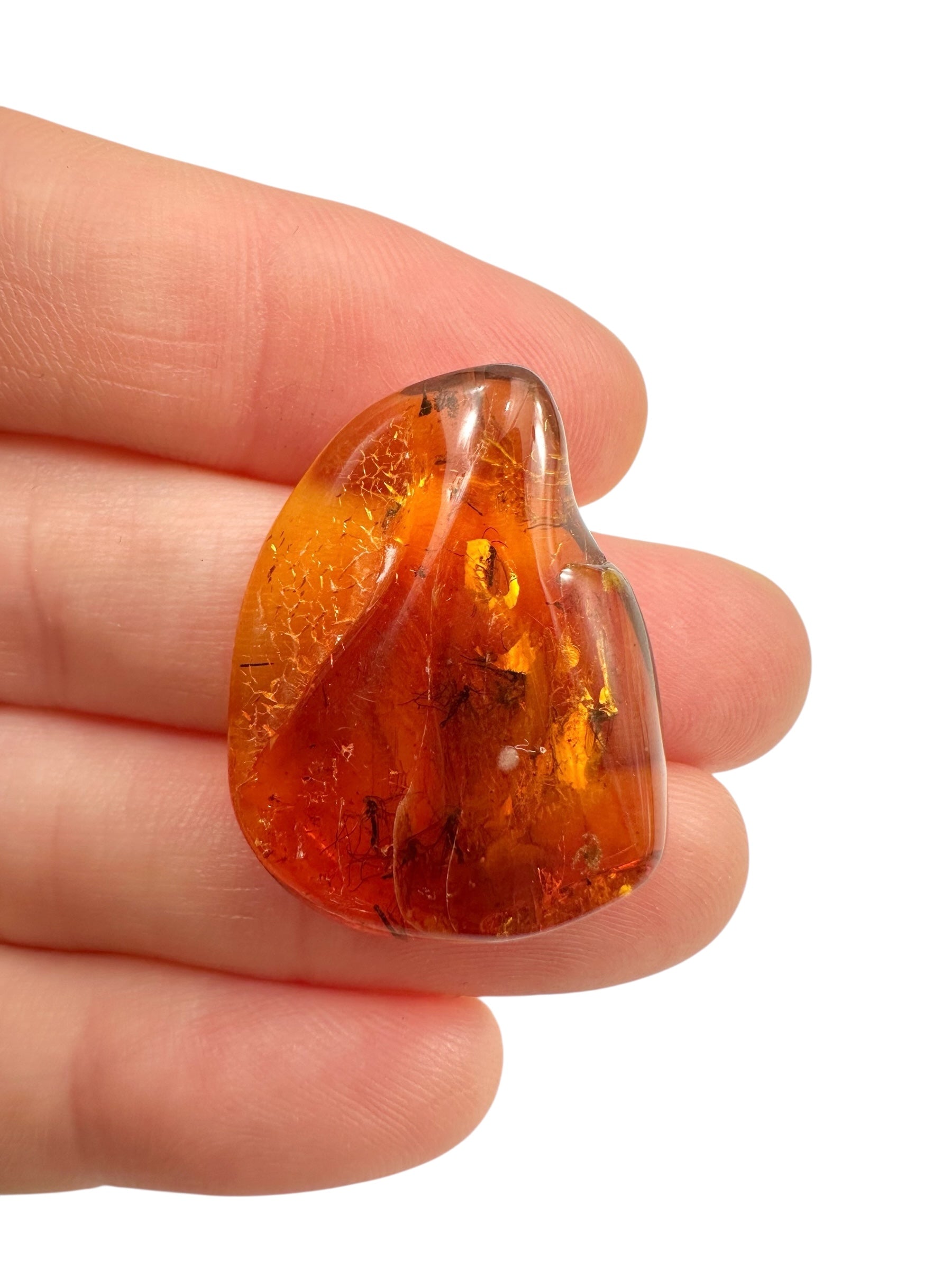 Insects in amber – Lithuania – 2,2g - IJ034