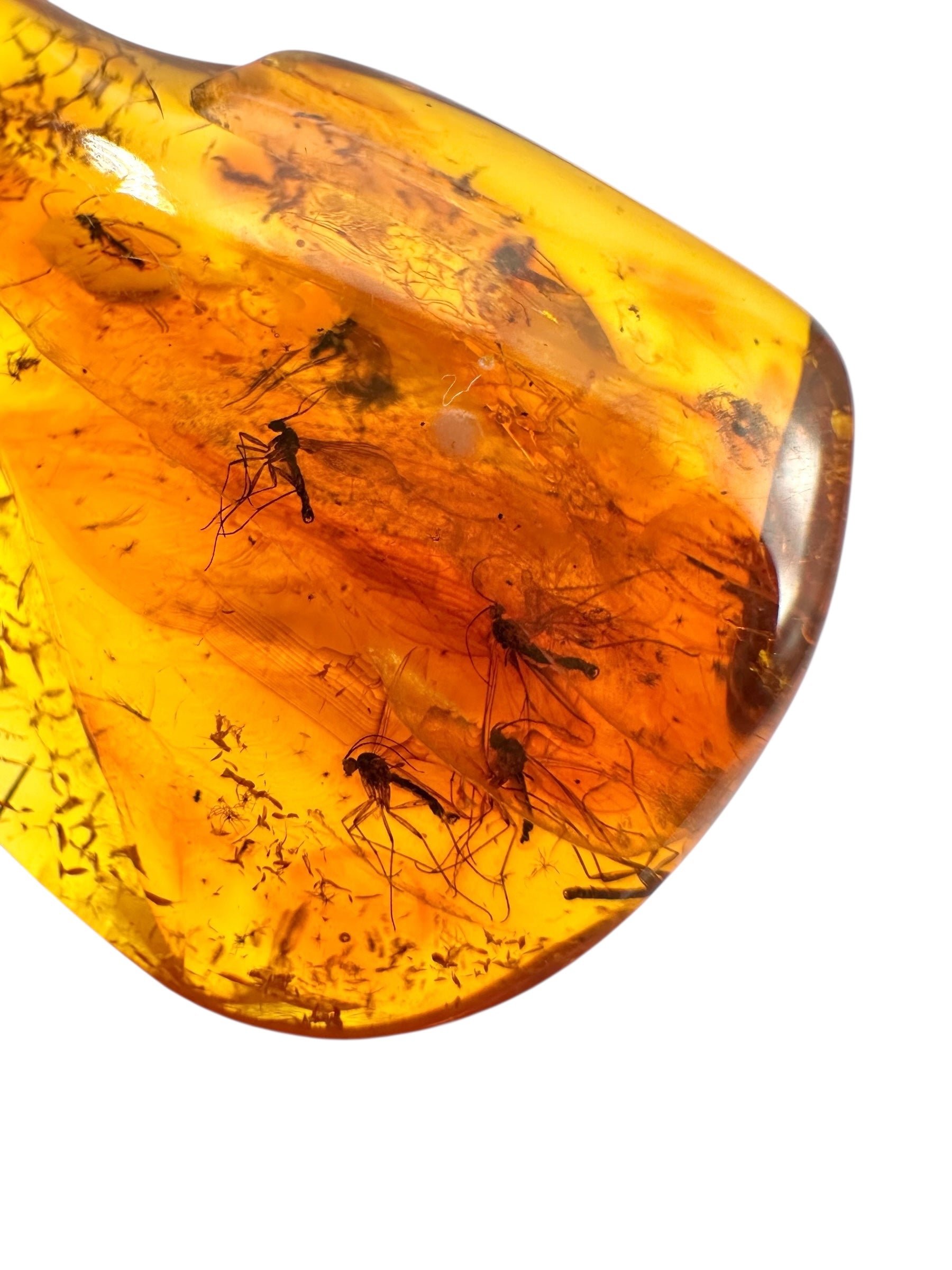 Insects in amber – Lithuania – 2,2g - IJ034