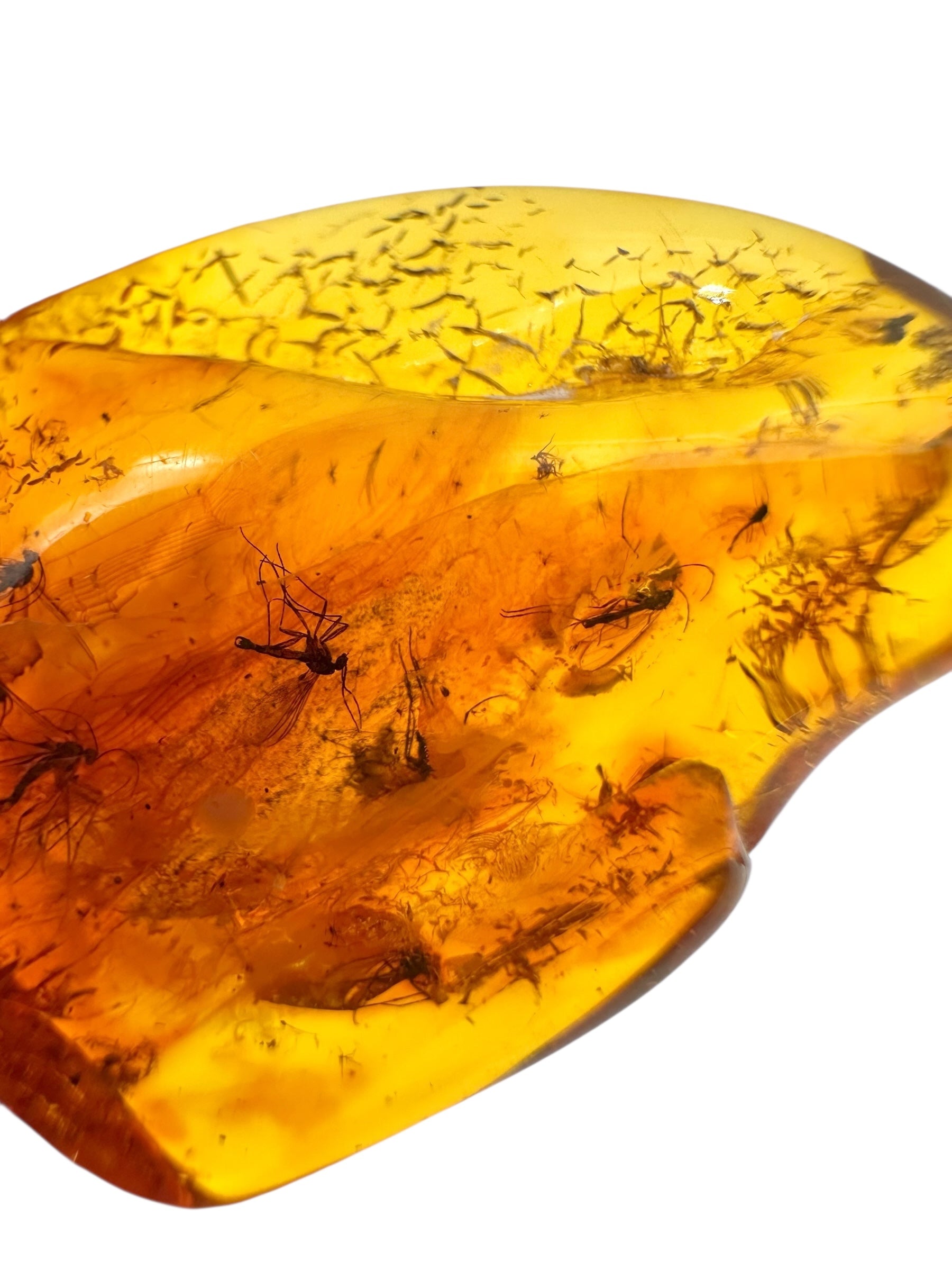 Insects in amber – Lithuania – 2,2g - IJ034