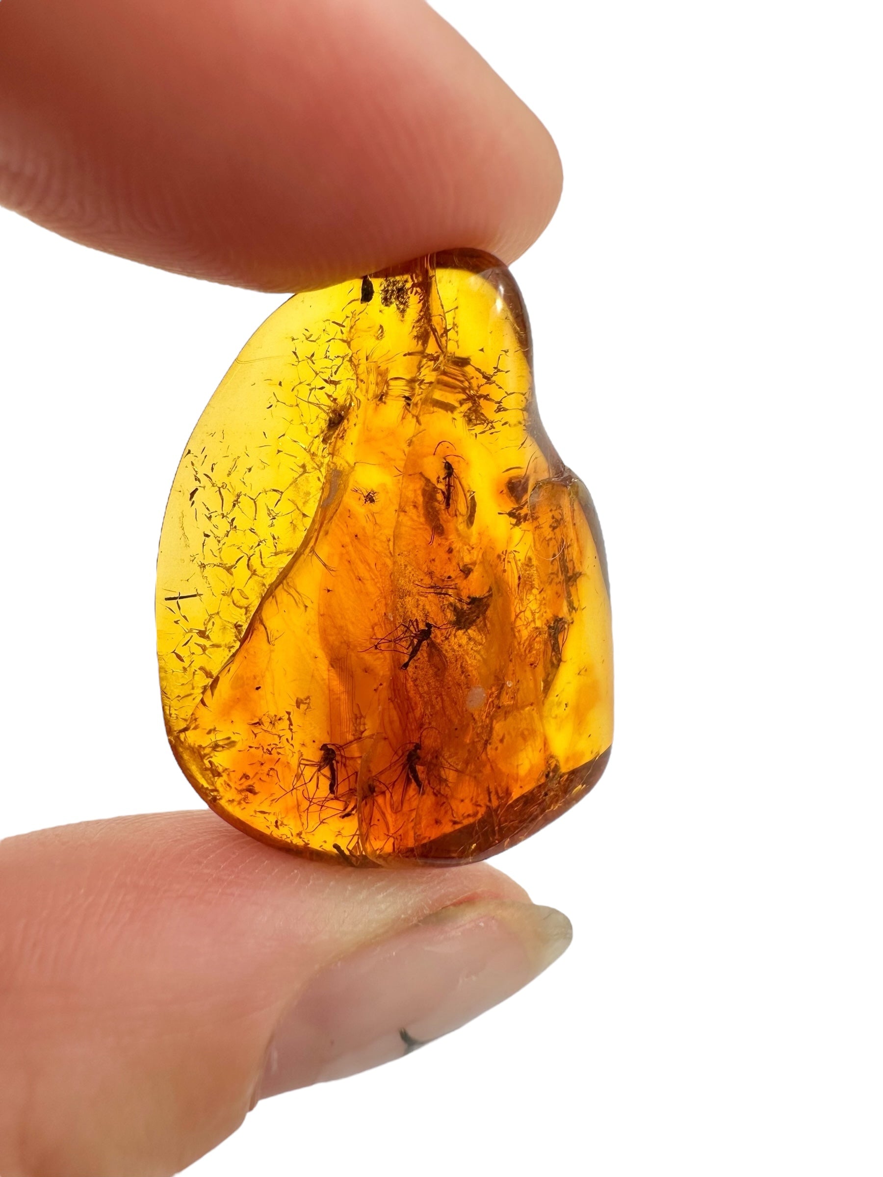 Insects in amber – Lithuania – 2,2g