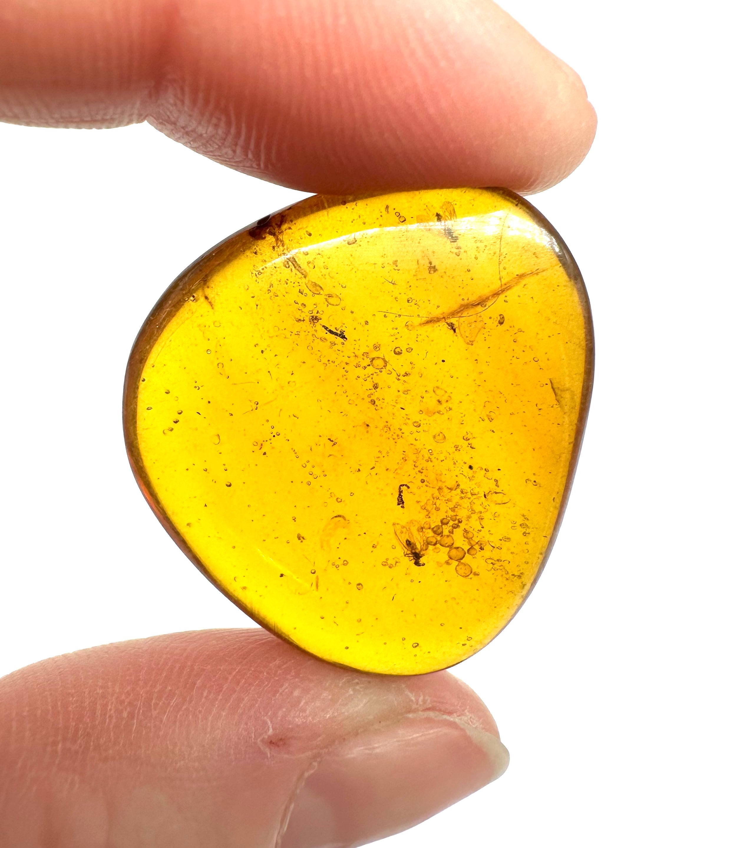 Insect in amber – Hukawng, Myanmar - IJ035