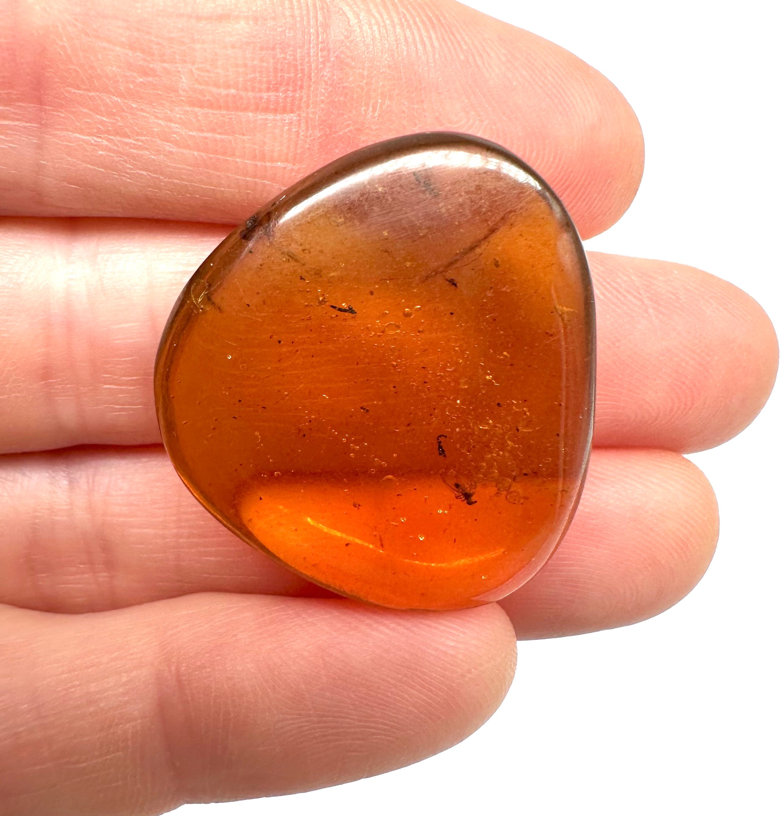 Insect in amber – Hukawng, Myanmar - IJ035