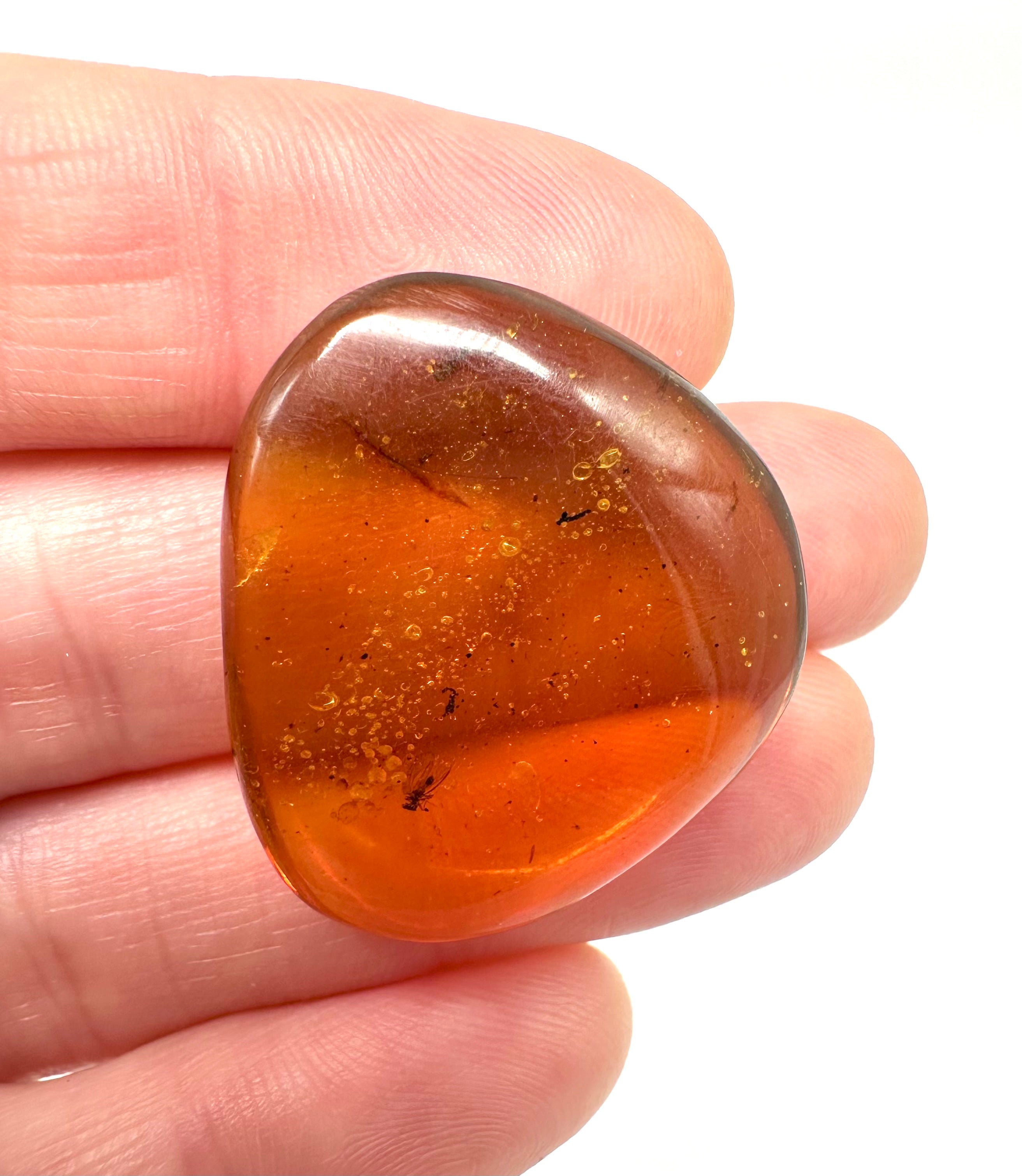 Insect in amber – Hukawng, Myanmar - IJ035