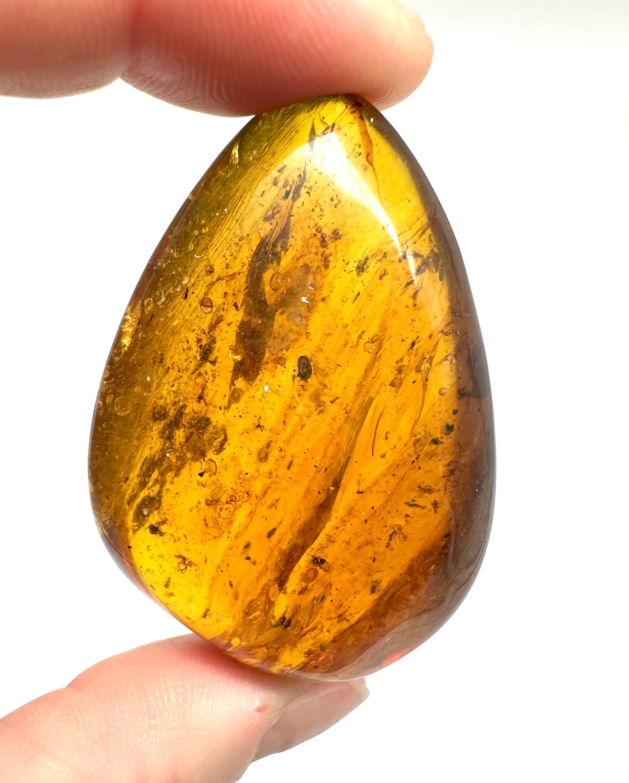 Insect in amber – Hukawng, Myanmar - IJ036