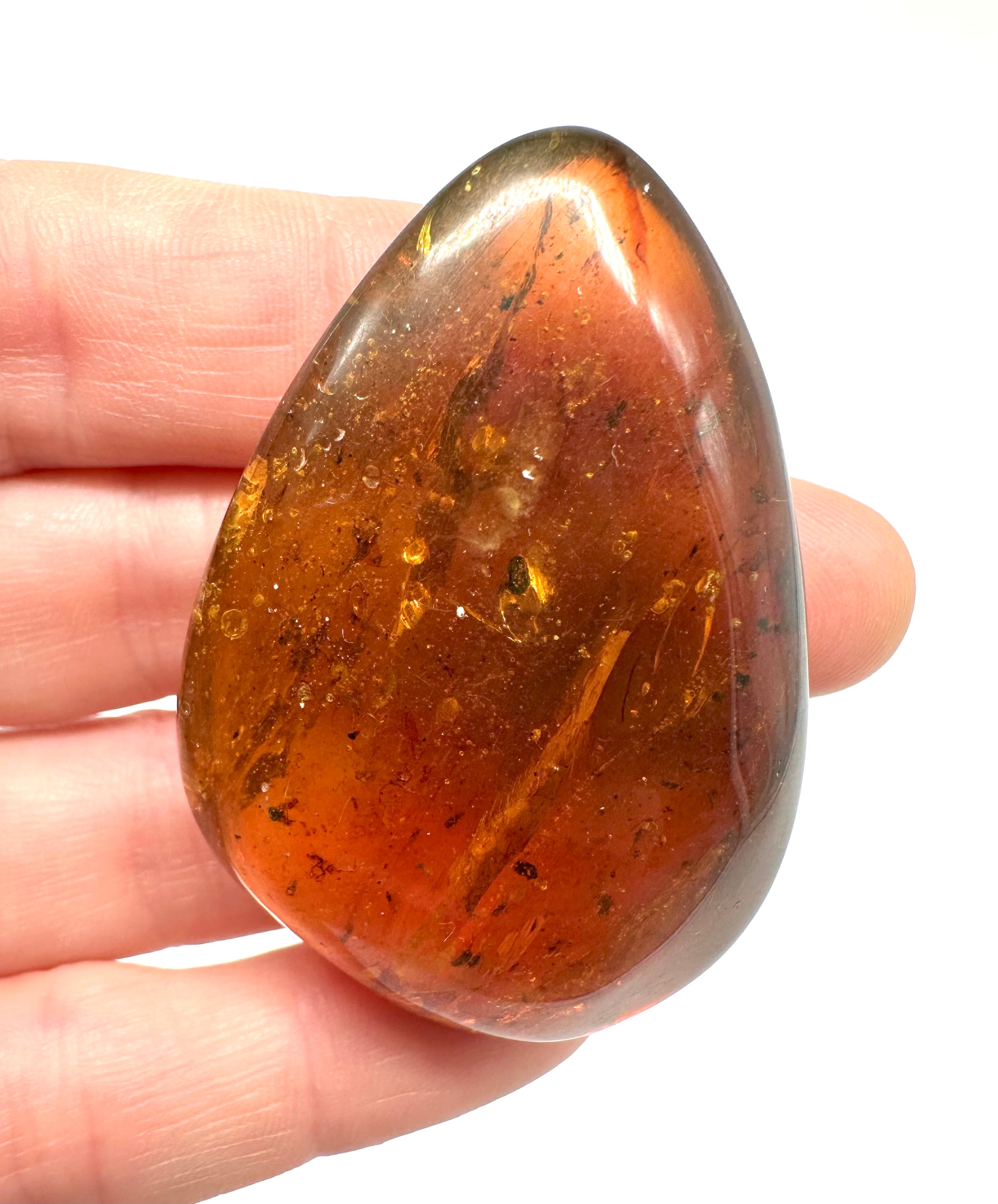 Insect in amber – Hukawng, Myanmar - IJ036