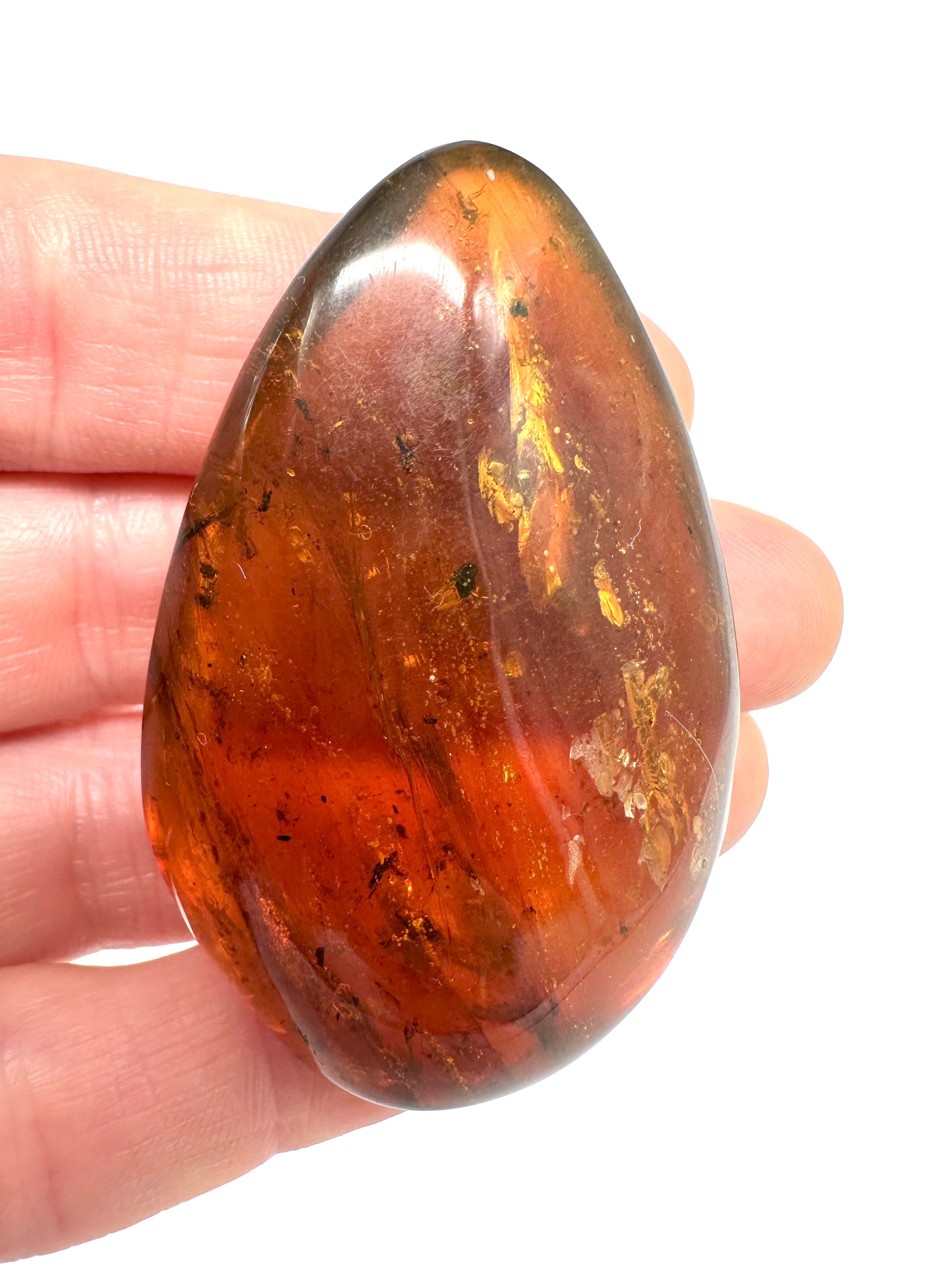 Insect in amber – Hukawng, Myanmar - IJ036
