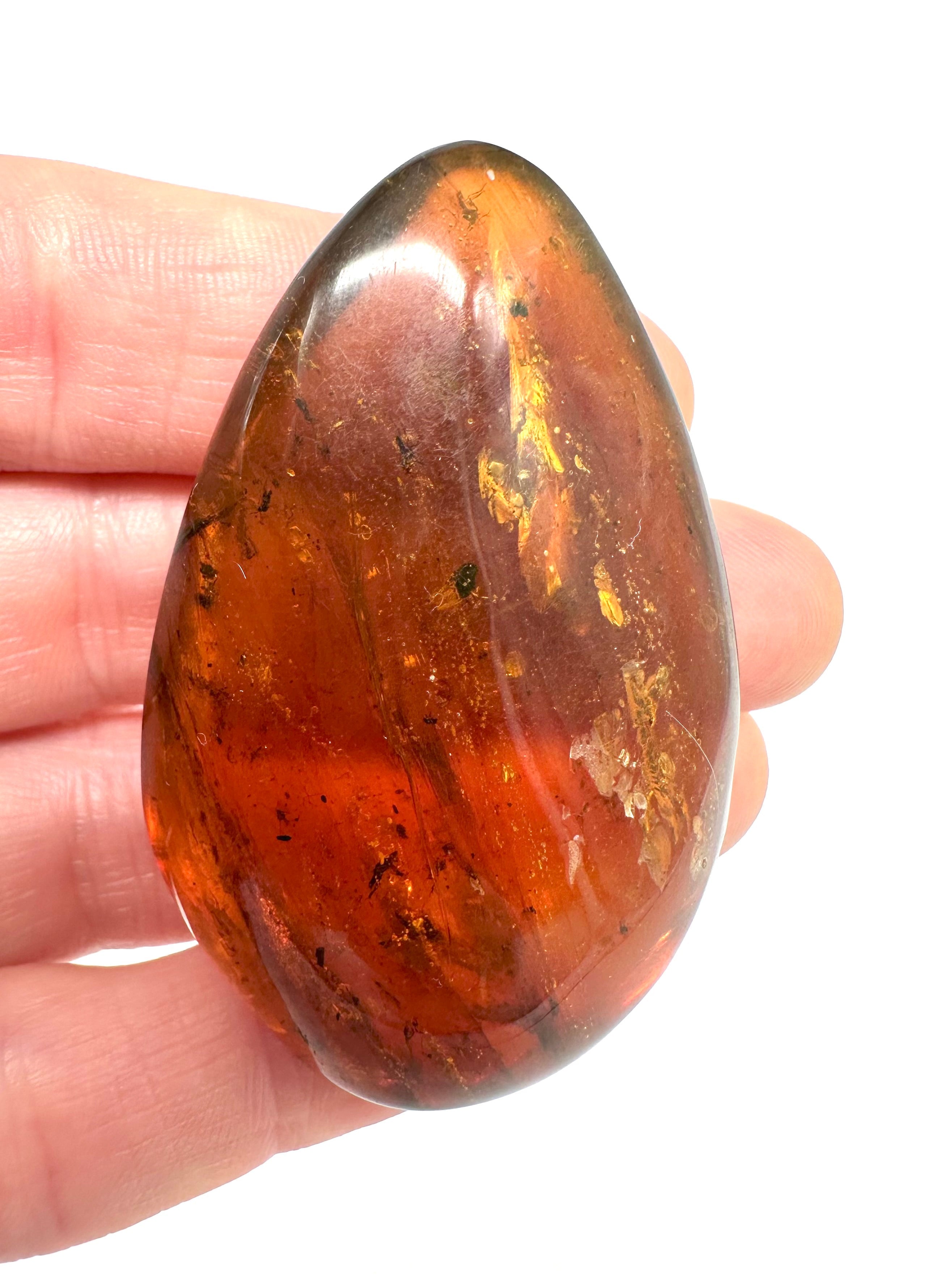 Insect in amber – Hukawng, Myanmar - IJ036