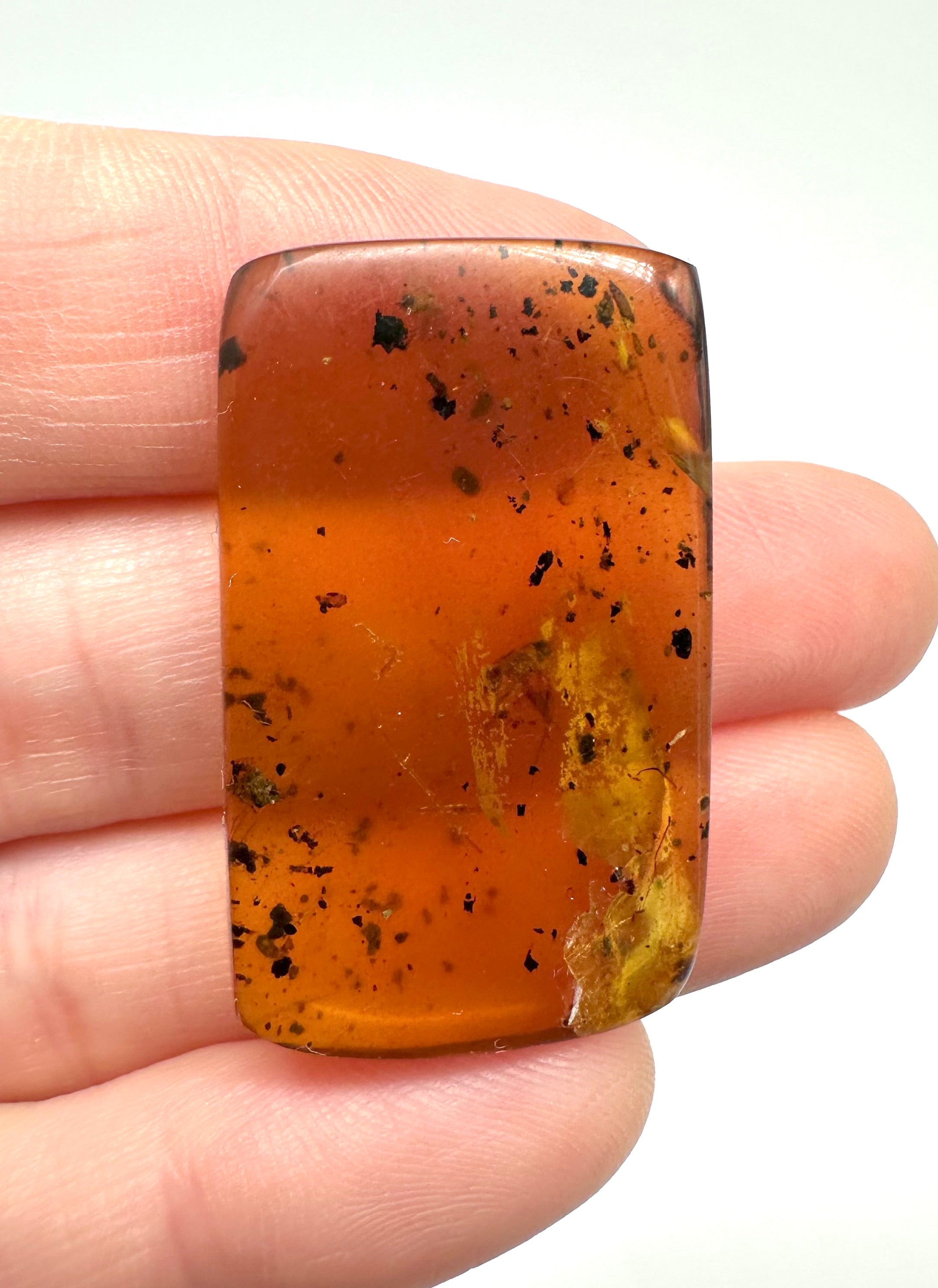 Insect in amber – Hukawng, Myanmar - IJ038