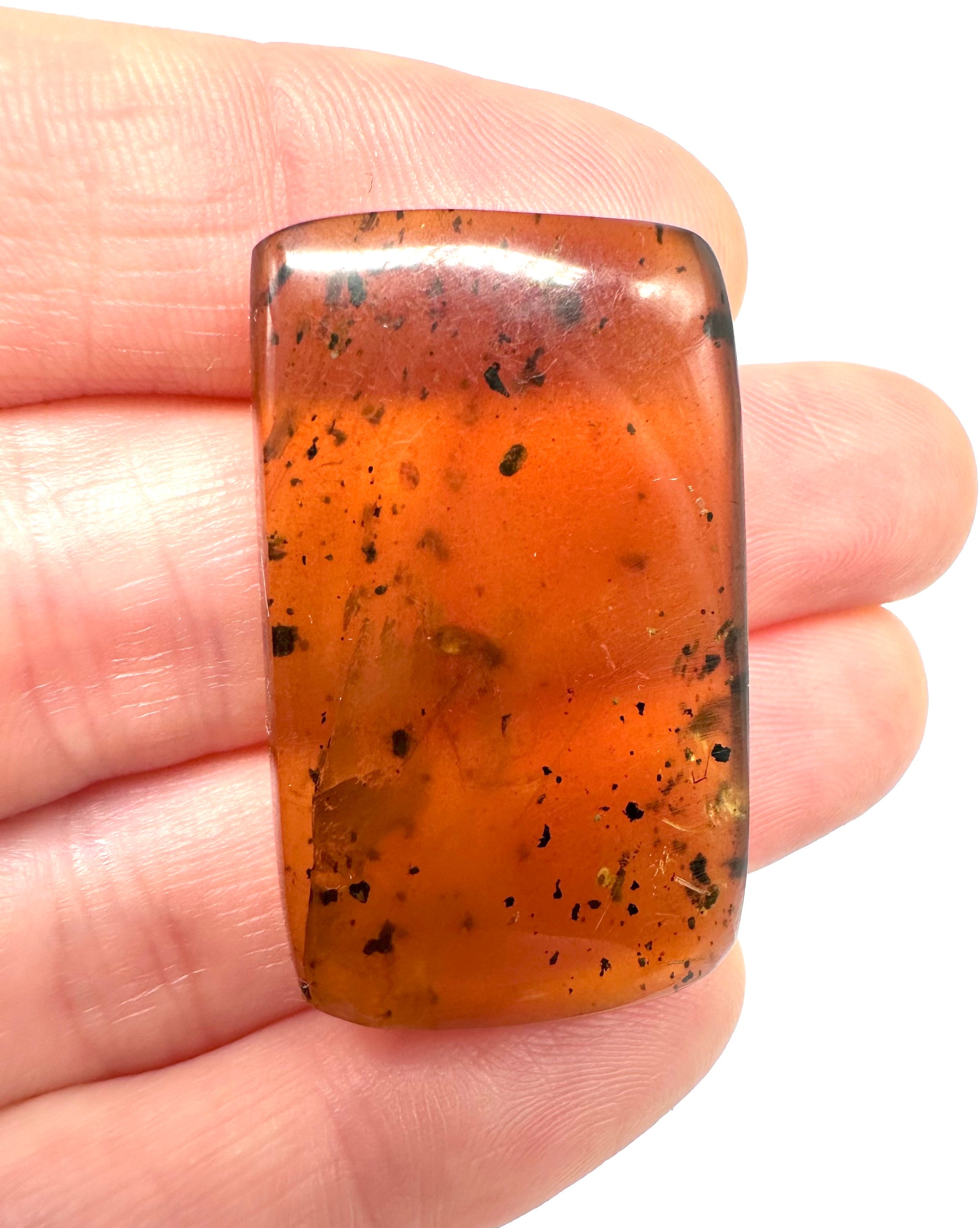 Insect in amber – Hukawng, Myanmar - IJ038