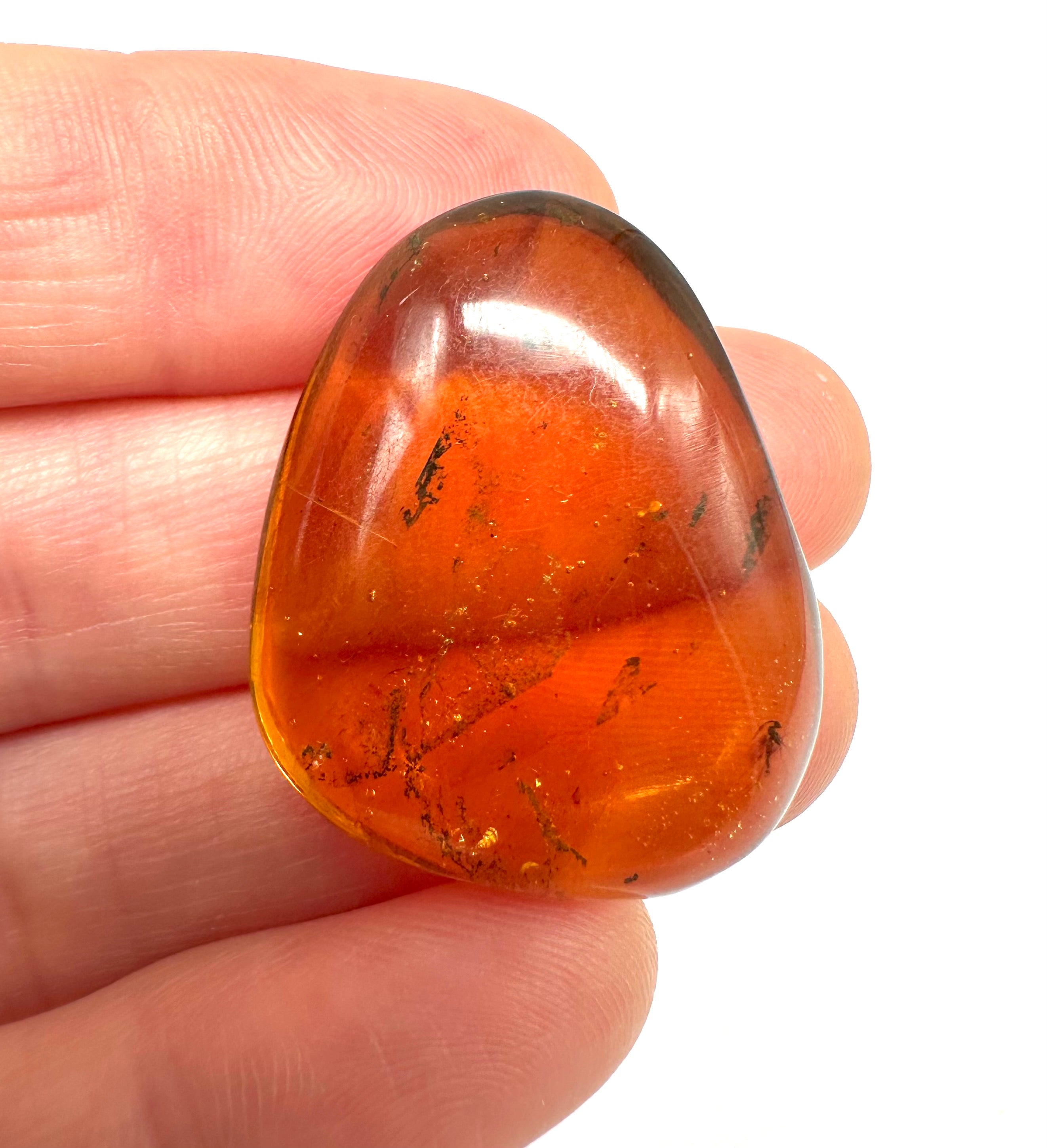 Insect in amber – Hukawng, Myanmar - IJ040