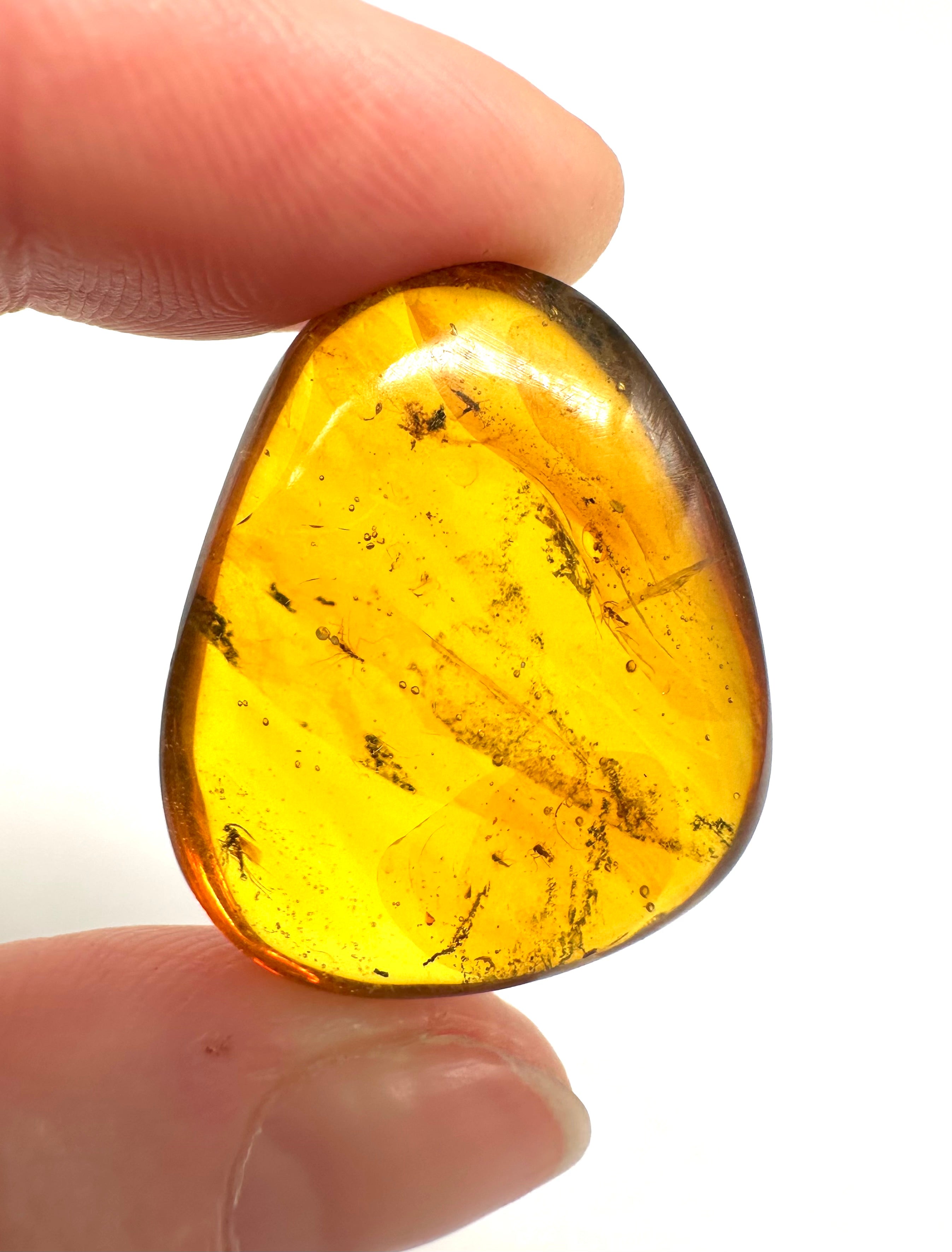 Insect in amber – Hukawng, Myanmar