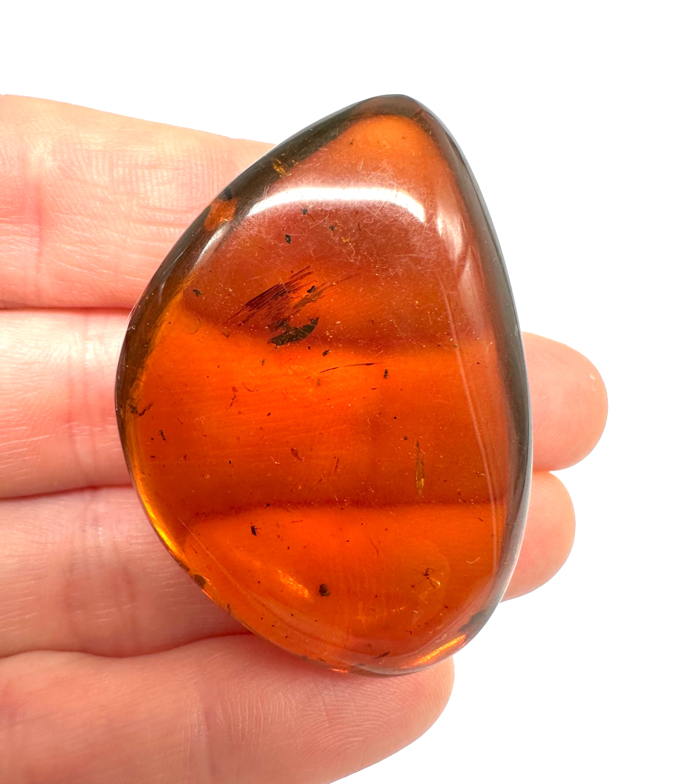 Insect in amber – Hukawng, Myanmar - IJ042