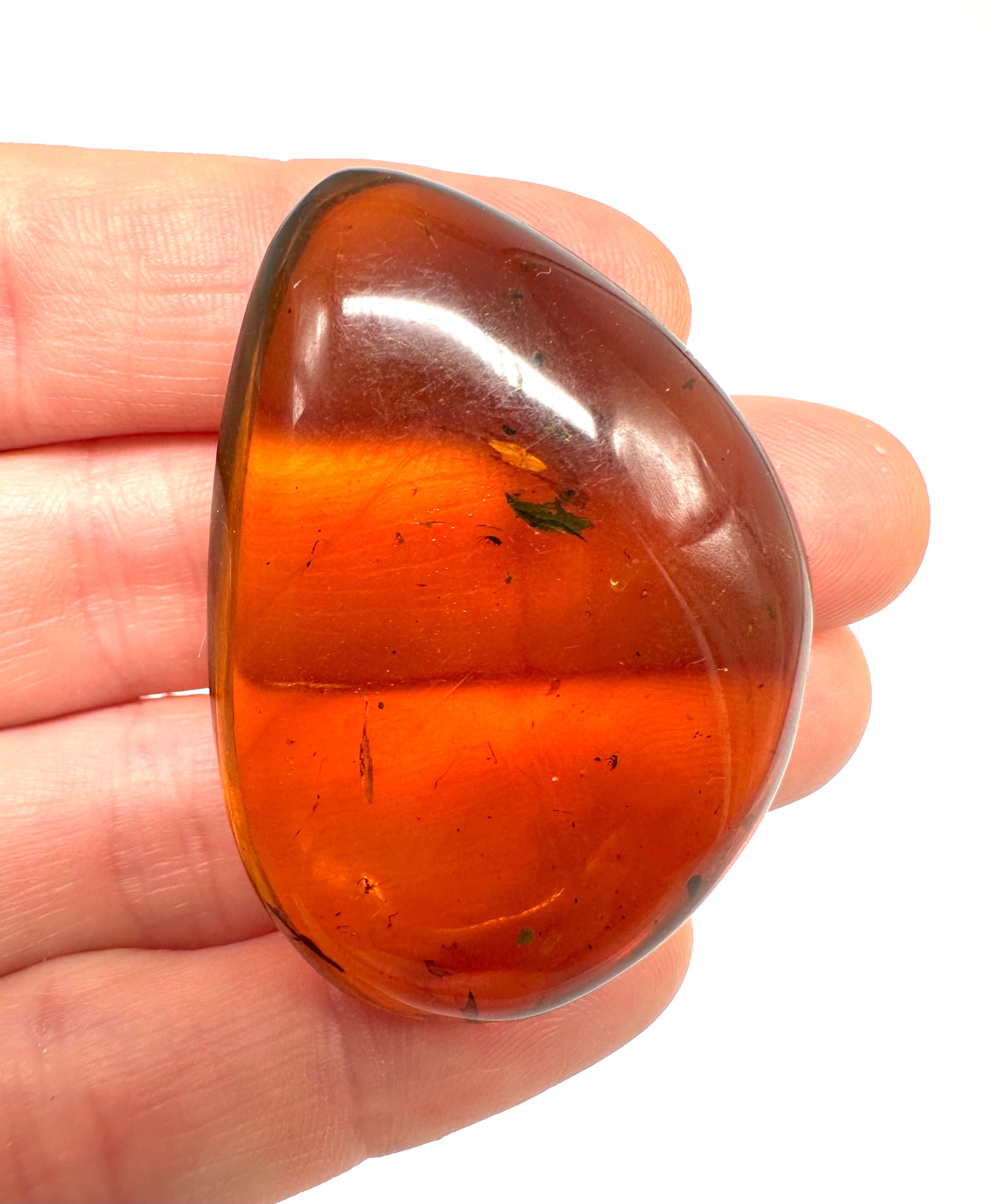 Insect in amber – Hukawng, Myanmar - IJ042