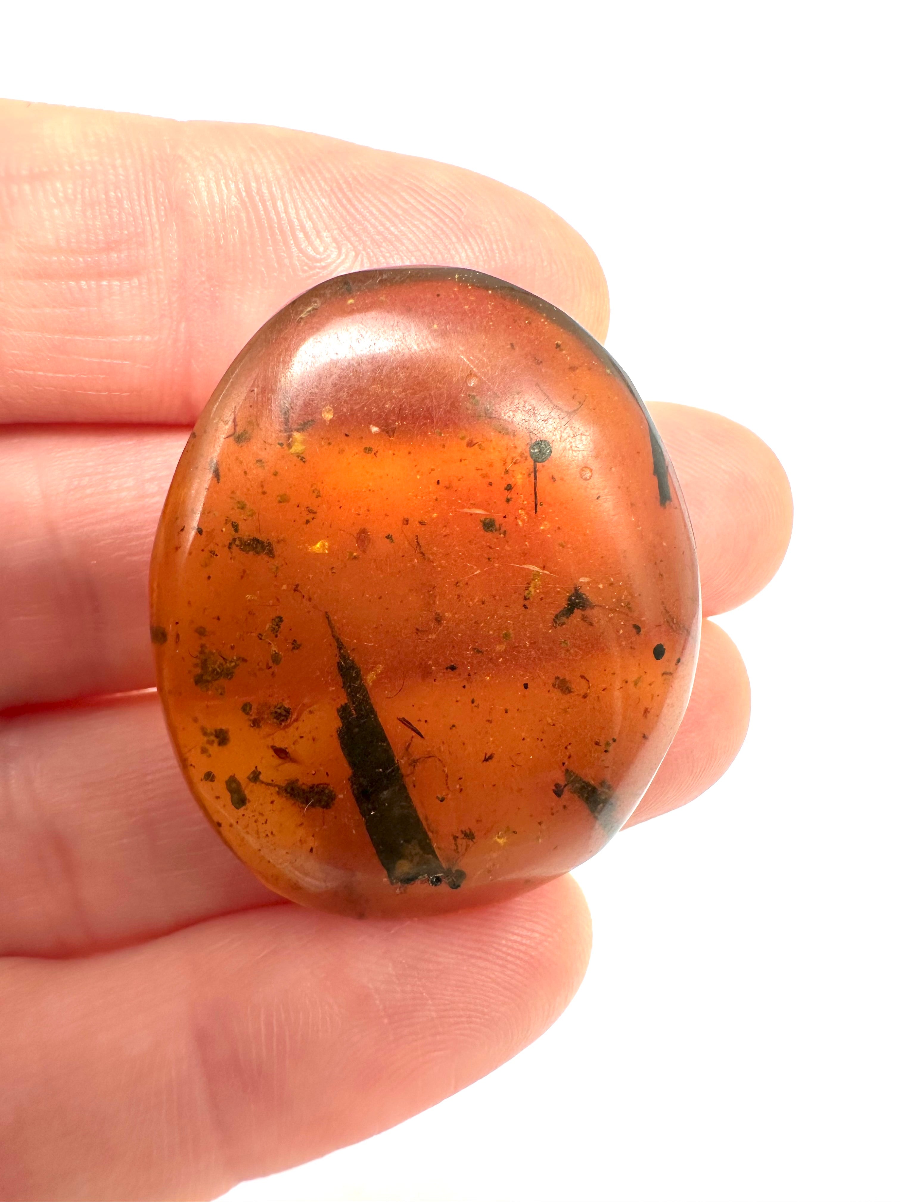 Insect in amber – Hukawng, Myanmar - IJ050