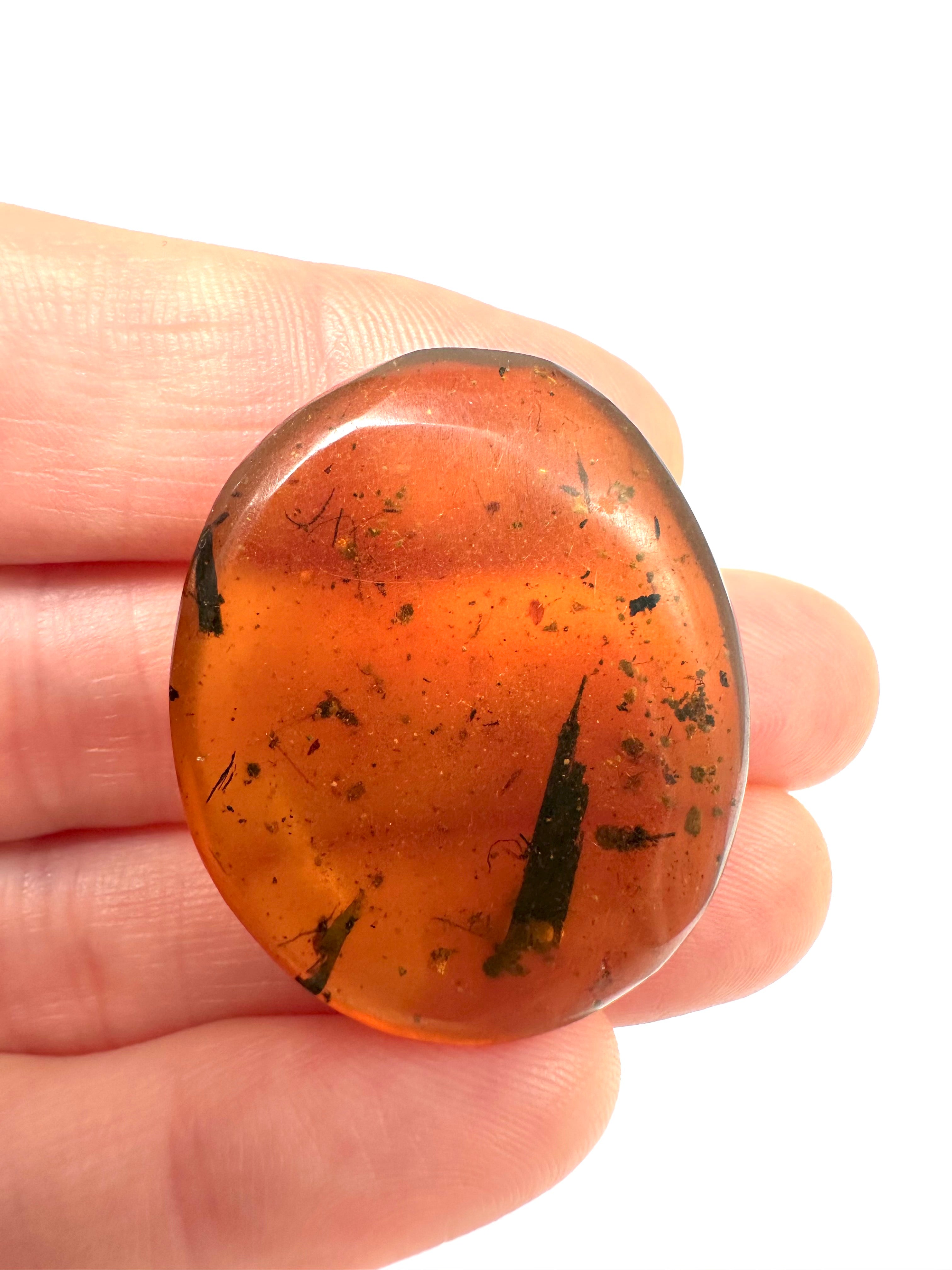 Insect in amber – Hukawng, Myanmar - IJ050
