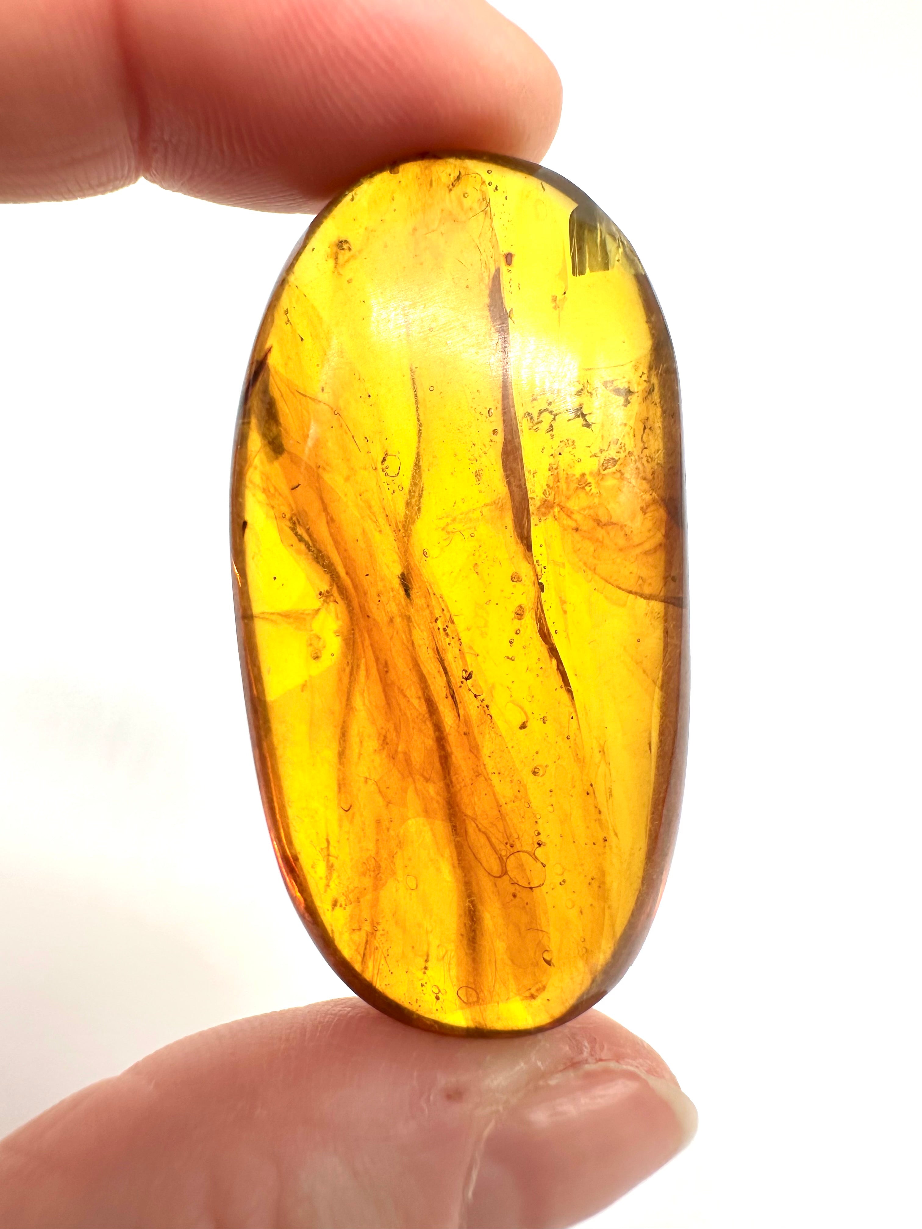 Insect in amber – Hukawng, Myanmar - IJ051