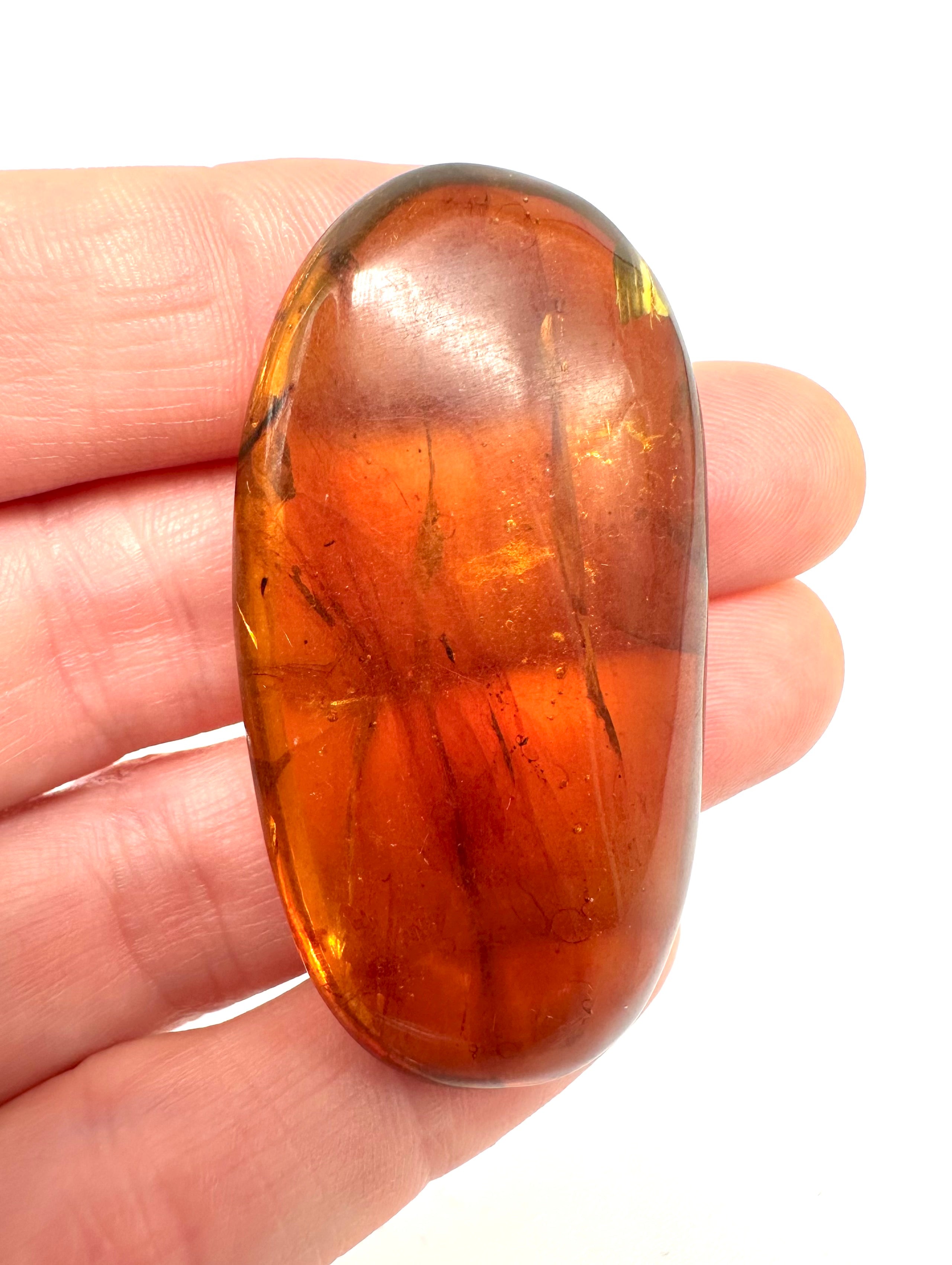 Insect in amber – Hukawng, Myanmar - IJ051